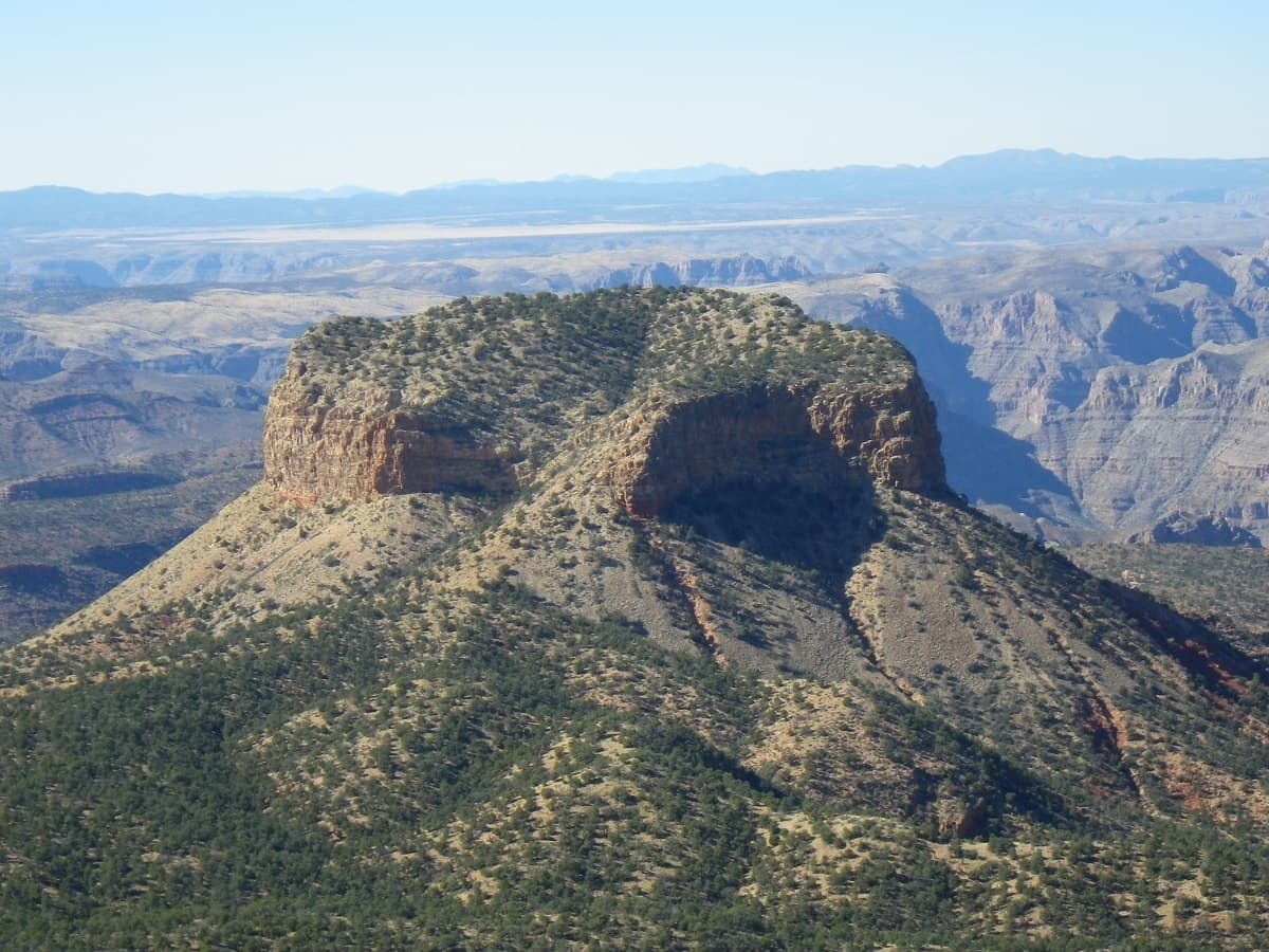 Photo of Towers