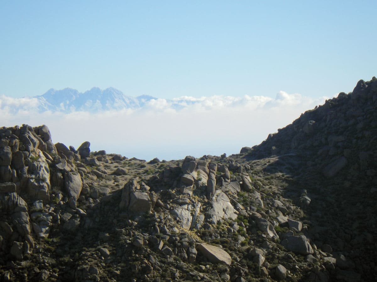 Photo of Four Peaks Wilderness