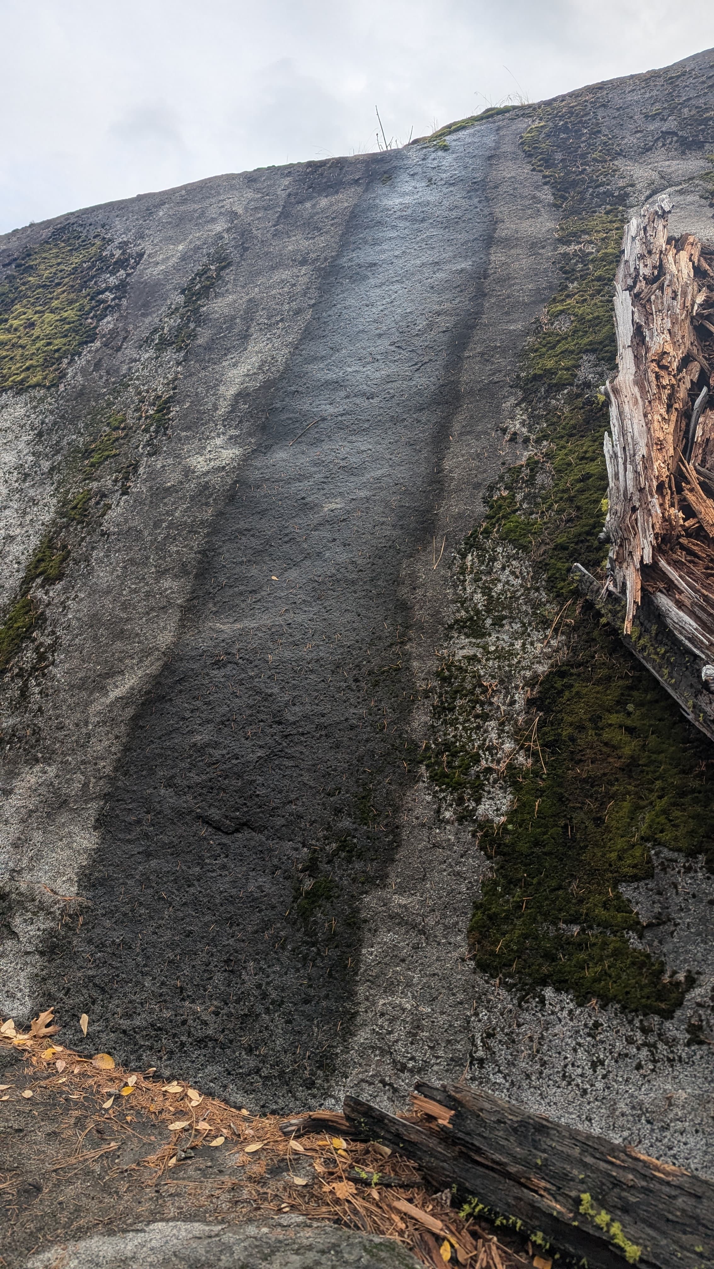 Photo of Forestland Boulders