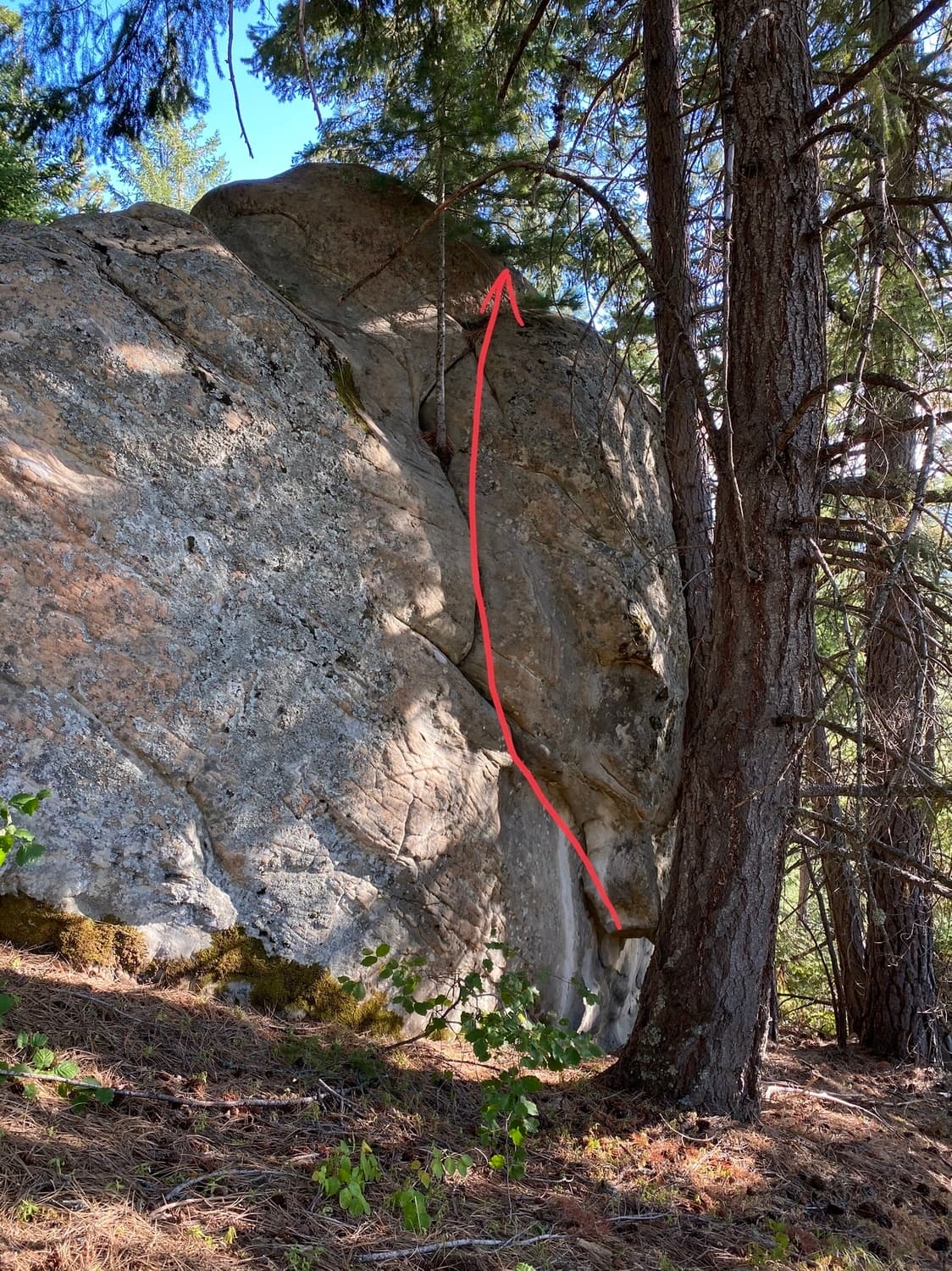 Photo of Happy Tree Boulder