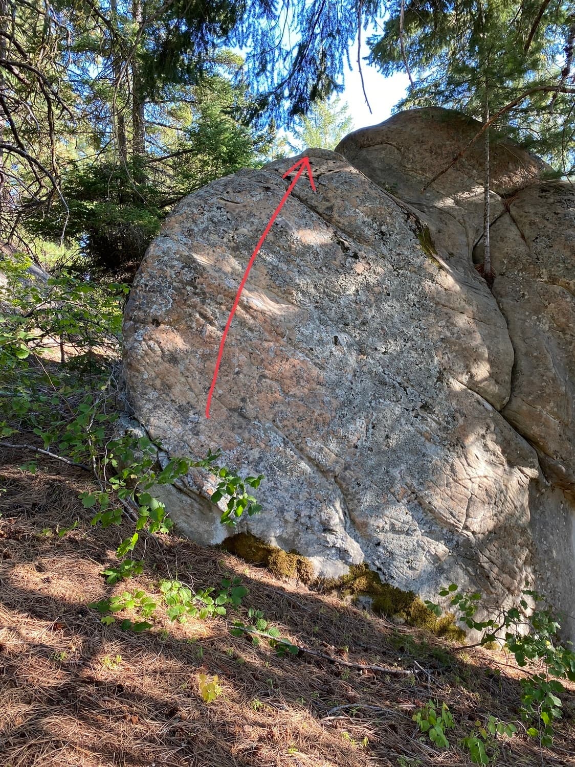 Photo of Happy Tree Boulder