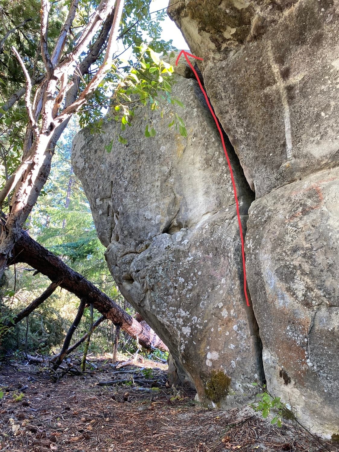 Photo of Church of Roslyn Boulder