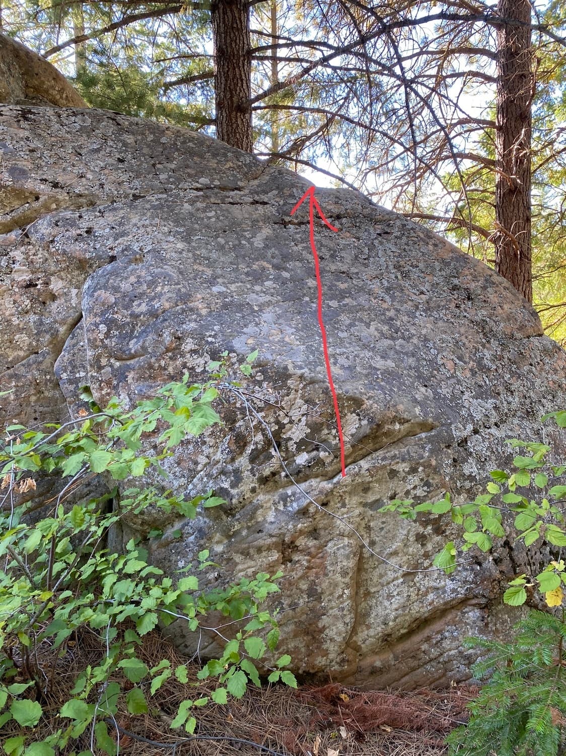 Photo of Happy Tree Boulder