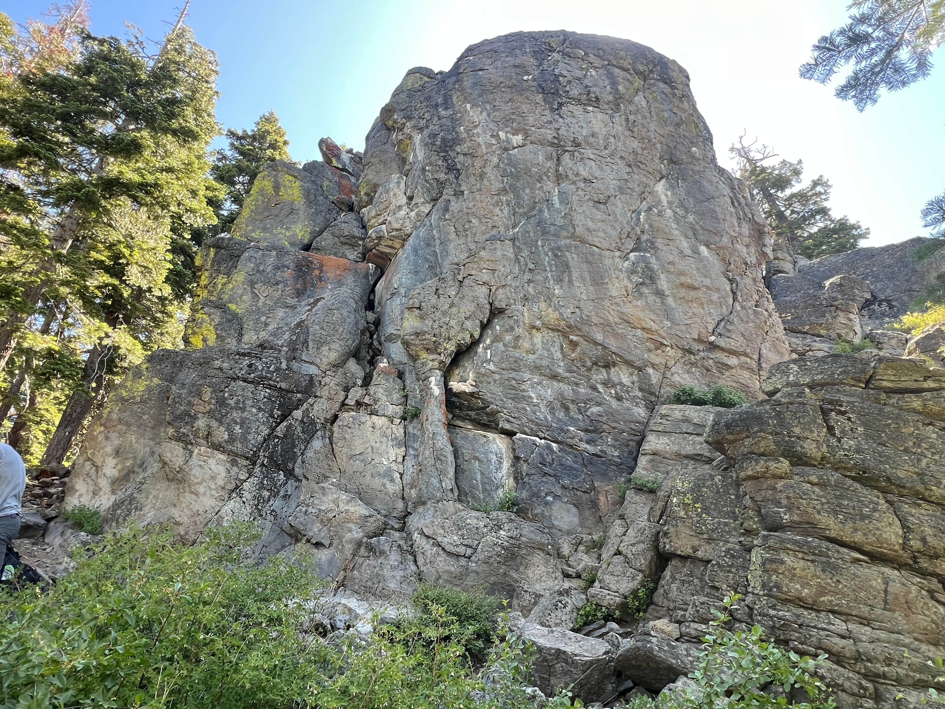 Photo of Nevada