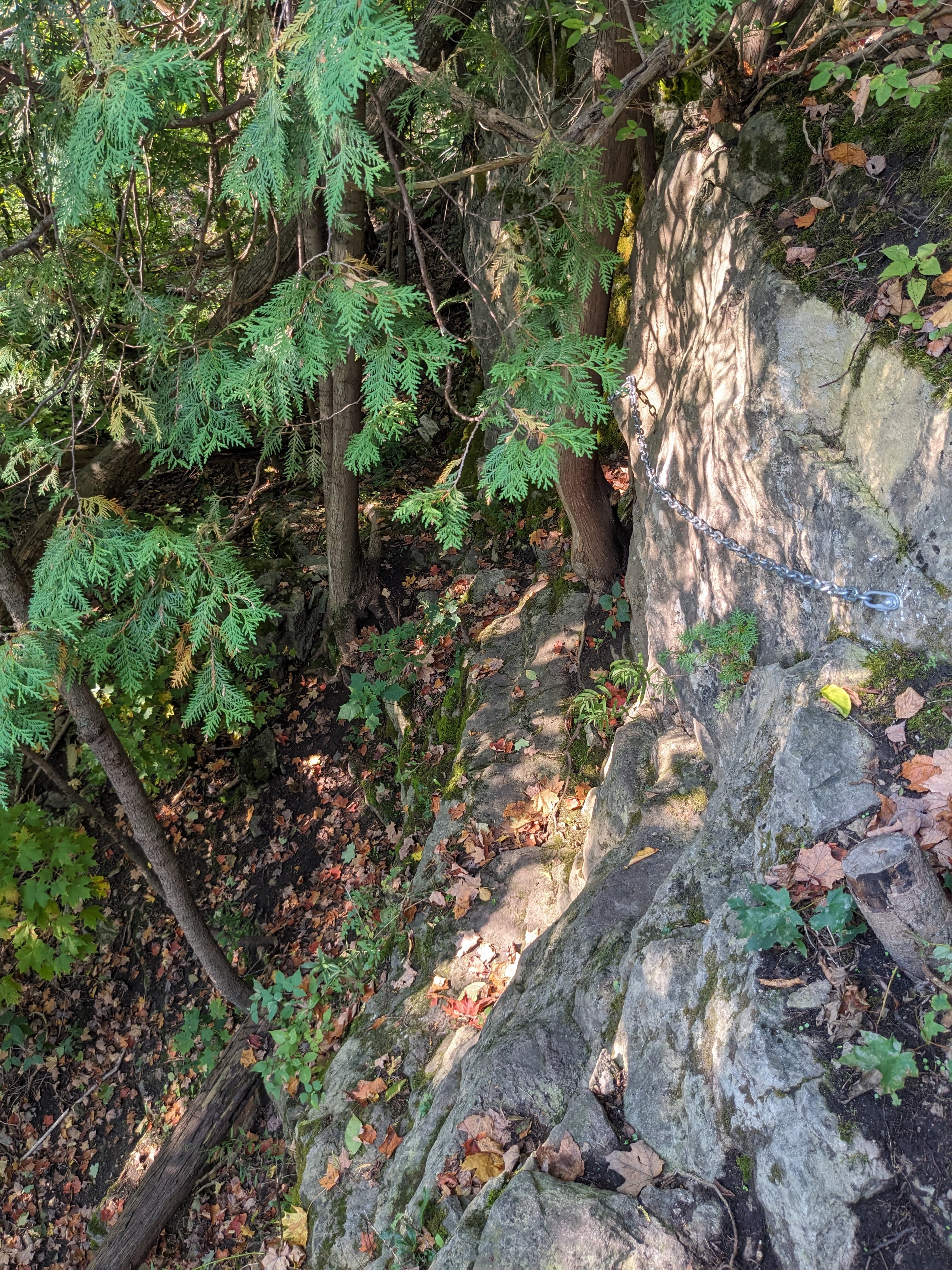 Photo of Ontario