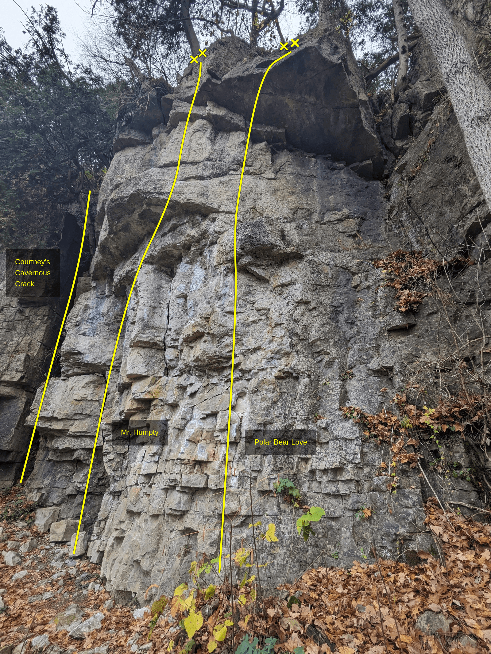 Photo of Courtney's Cavernous Crack