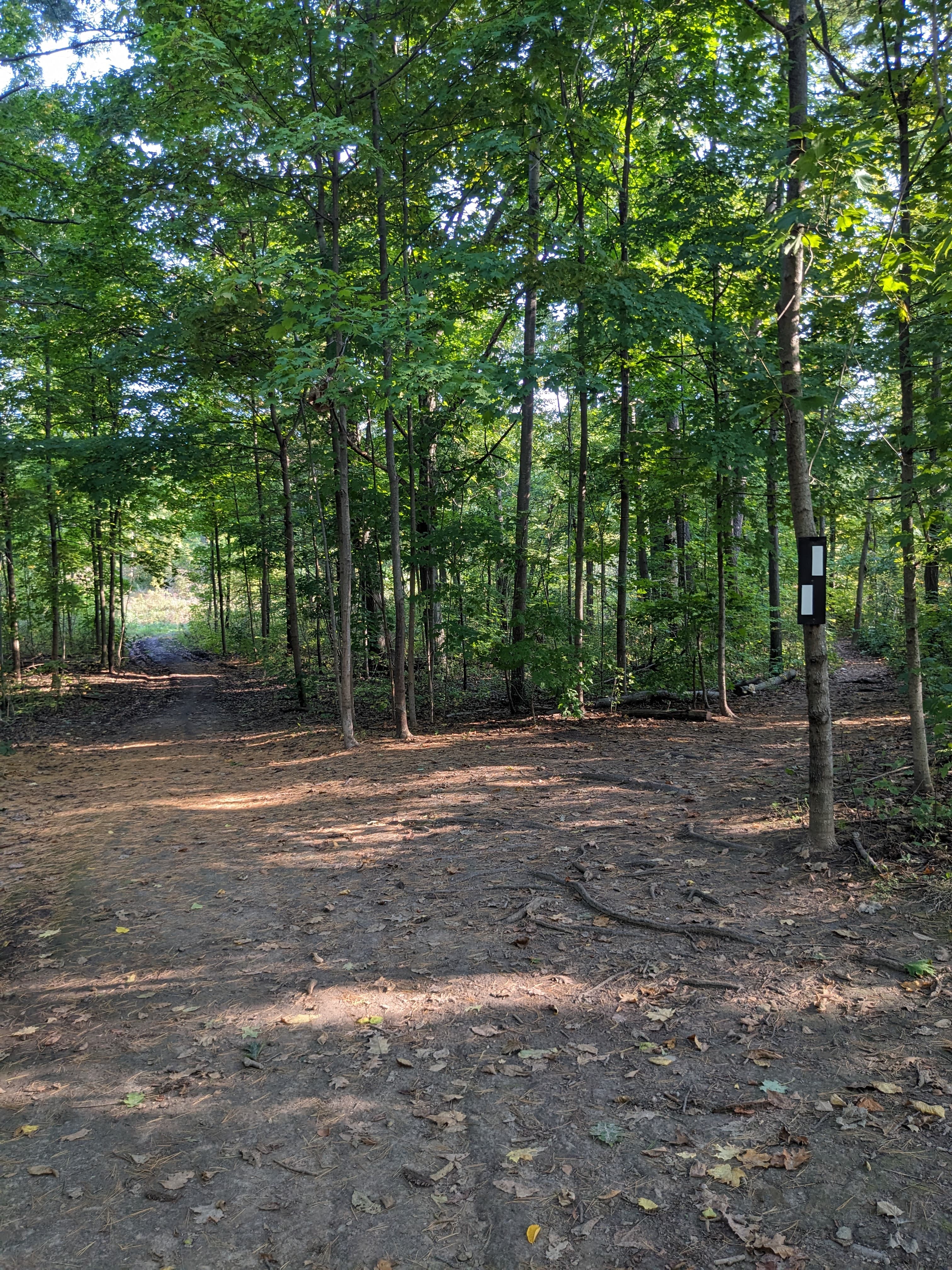 Photo of Ontario