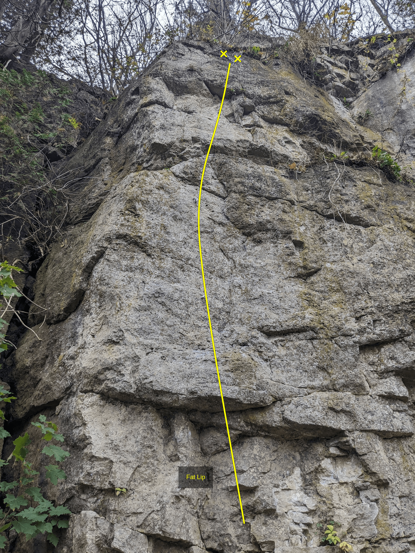 Photo of Main Wall