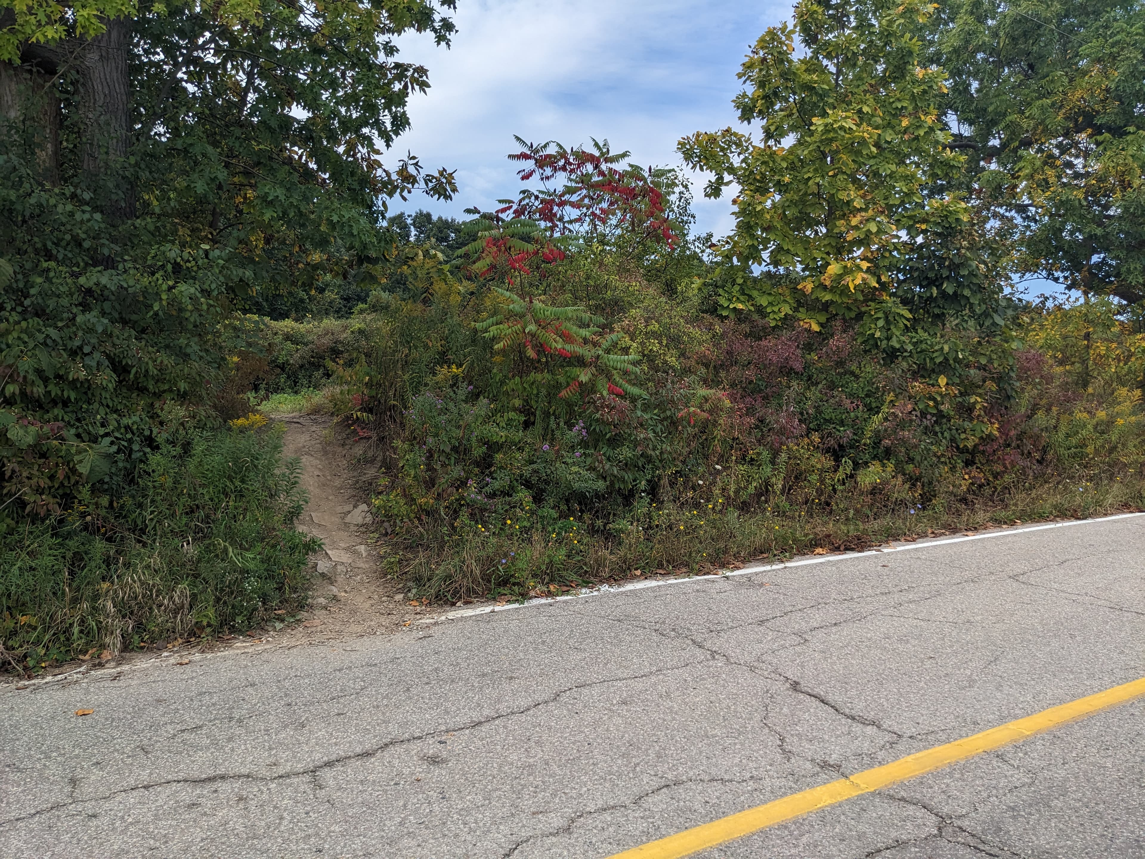 Photo of Ontario