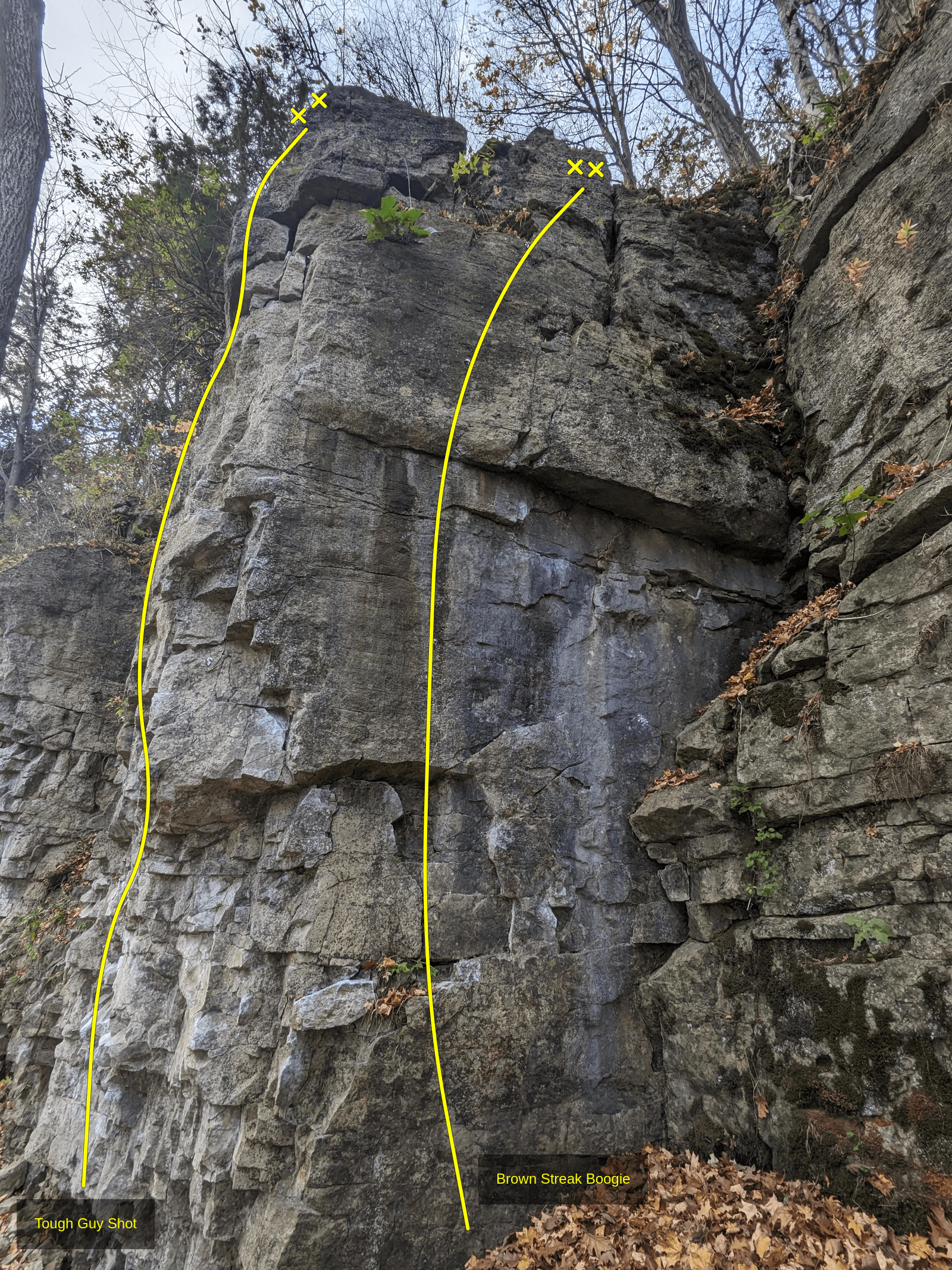 Photo of Main Wall
