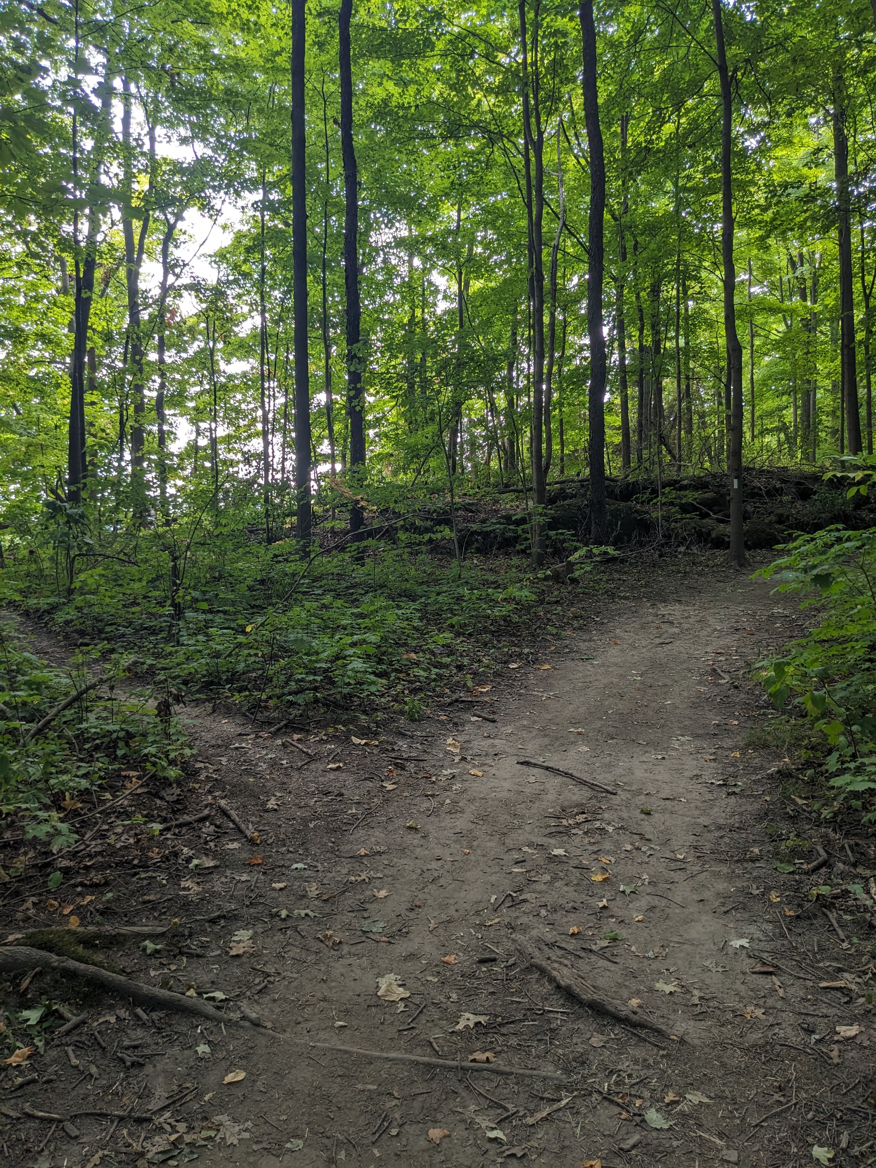 Photo of Ontario