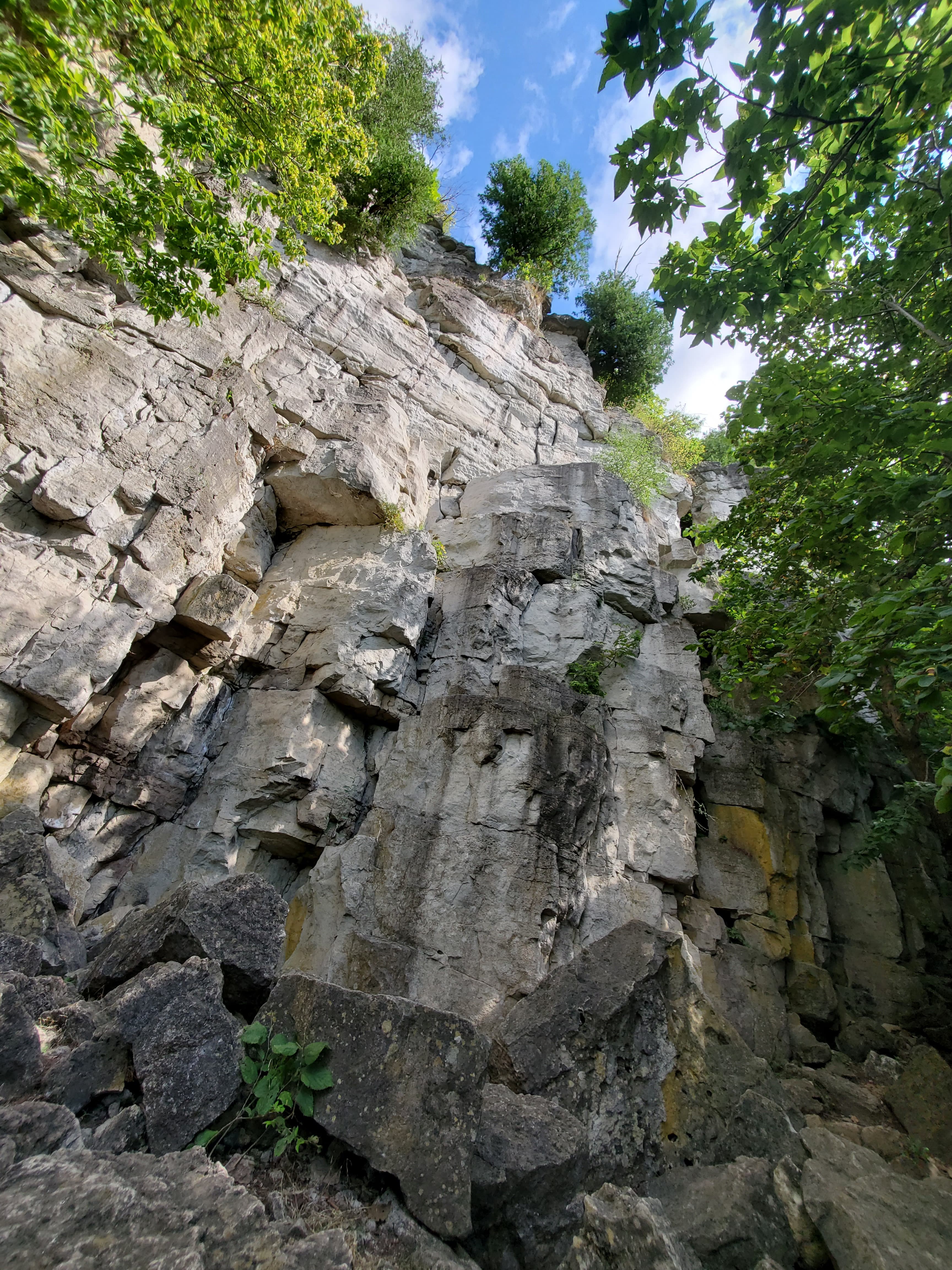 Photo of Conservation Halton Parks