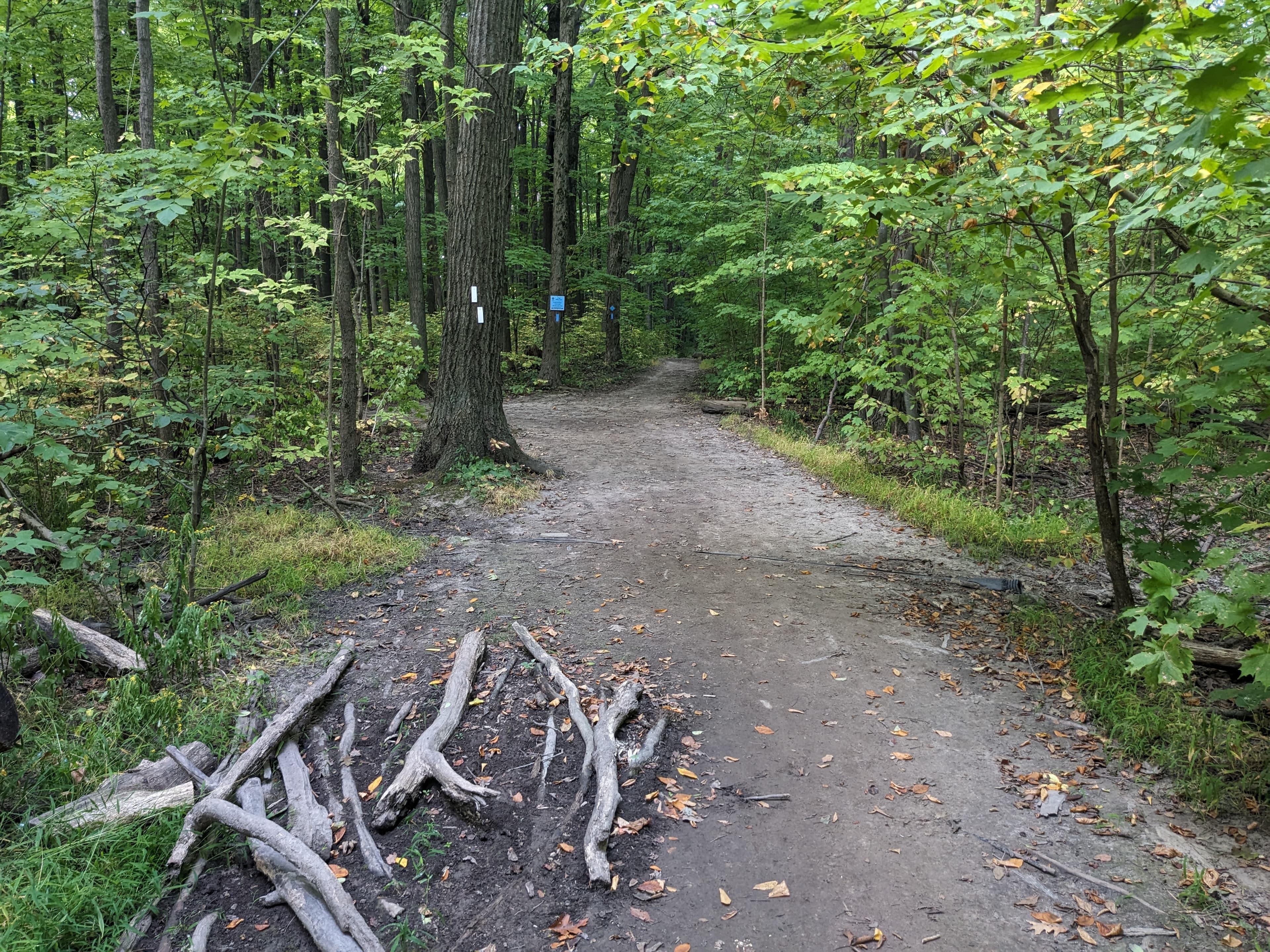 Photo of Ontario