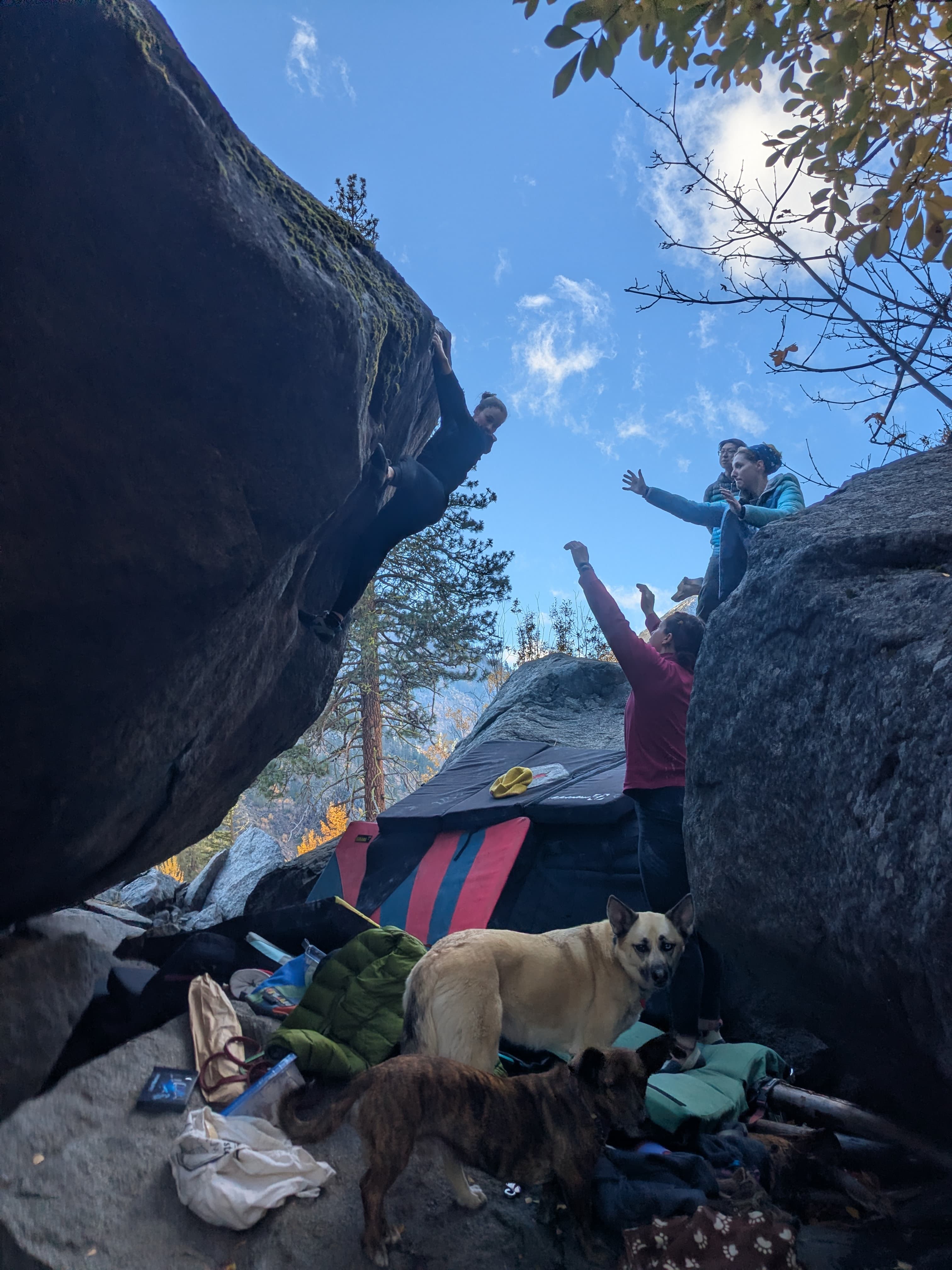 Photo of Forestland Boulders