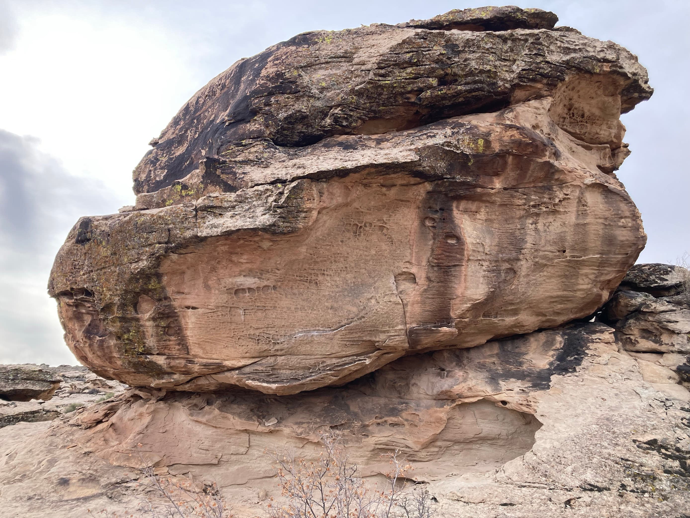Photo of Moe's Valley