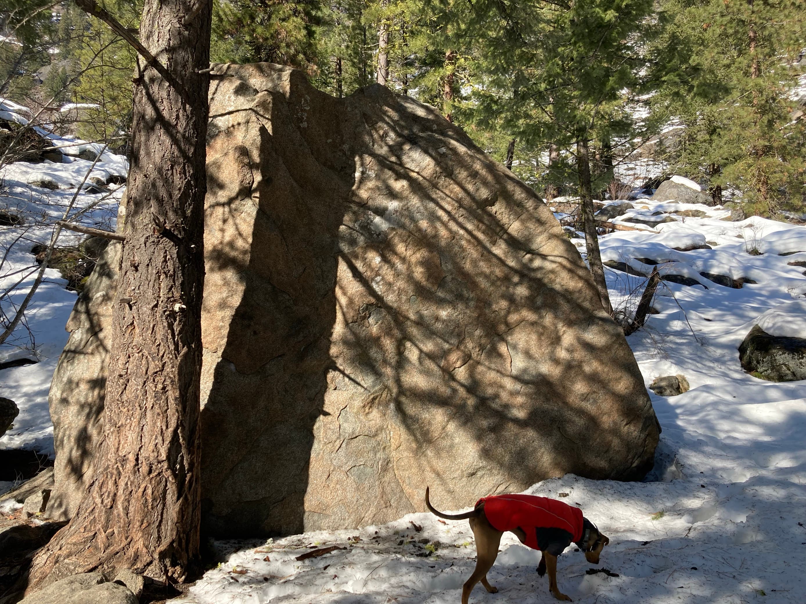 Photo of Forestland Boulders