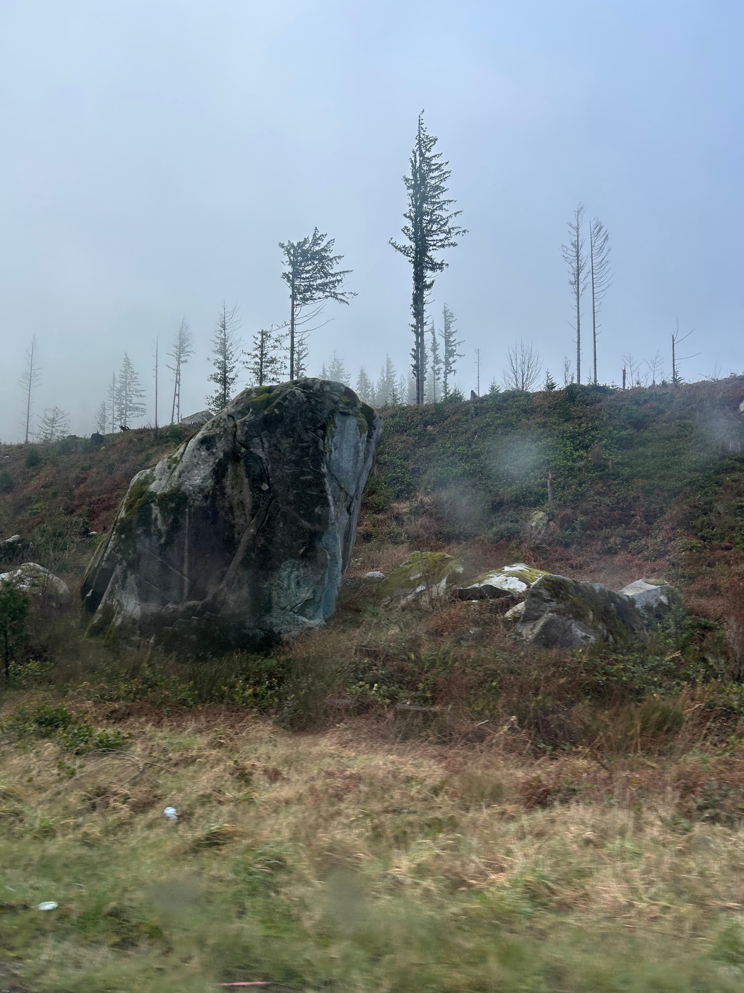 Photo of Gold Bar Boulders