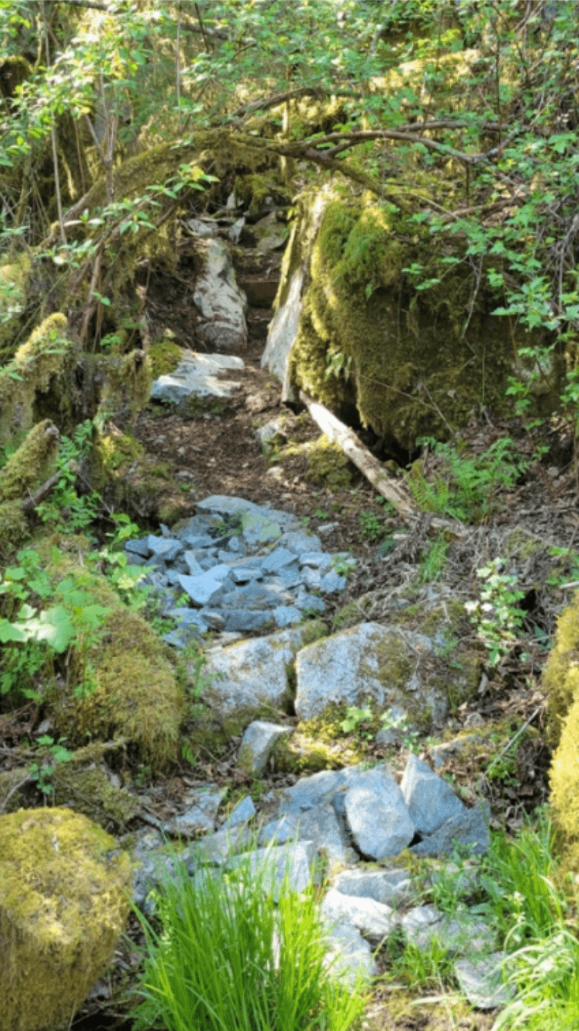 Photo of Mamquam FSR