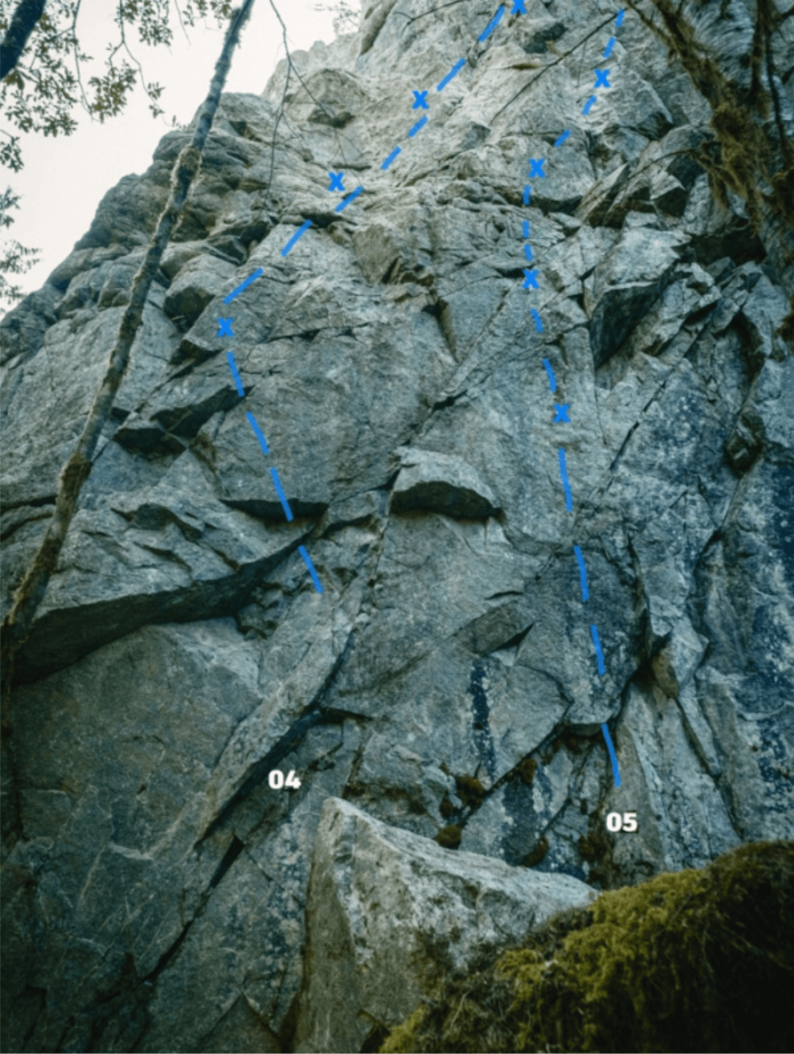Photo of Mamquam FSR