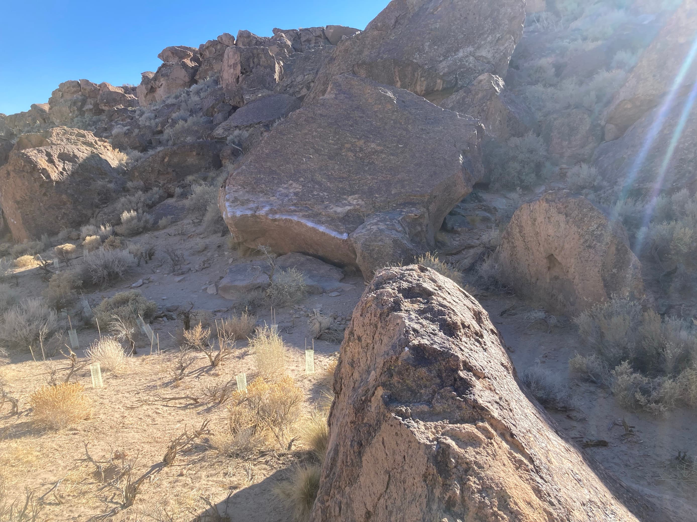 Photo of Split Melon Area