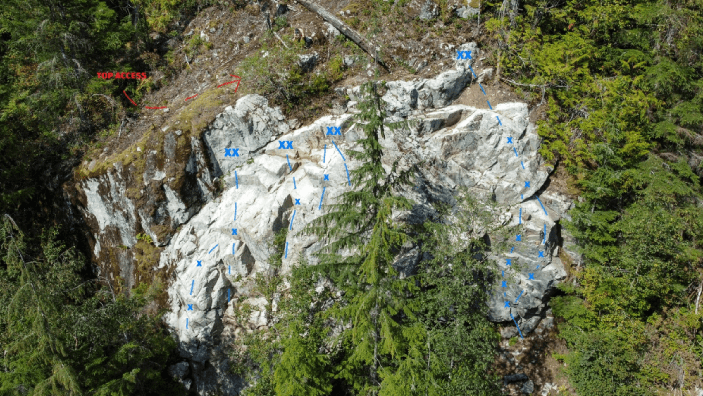 Photo of Mamquam FSR
