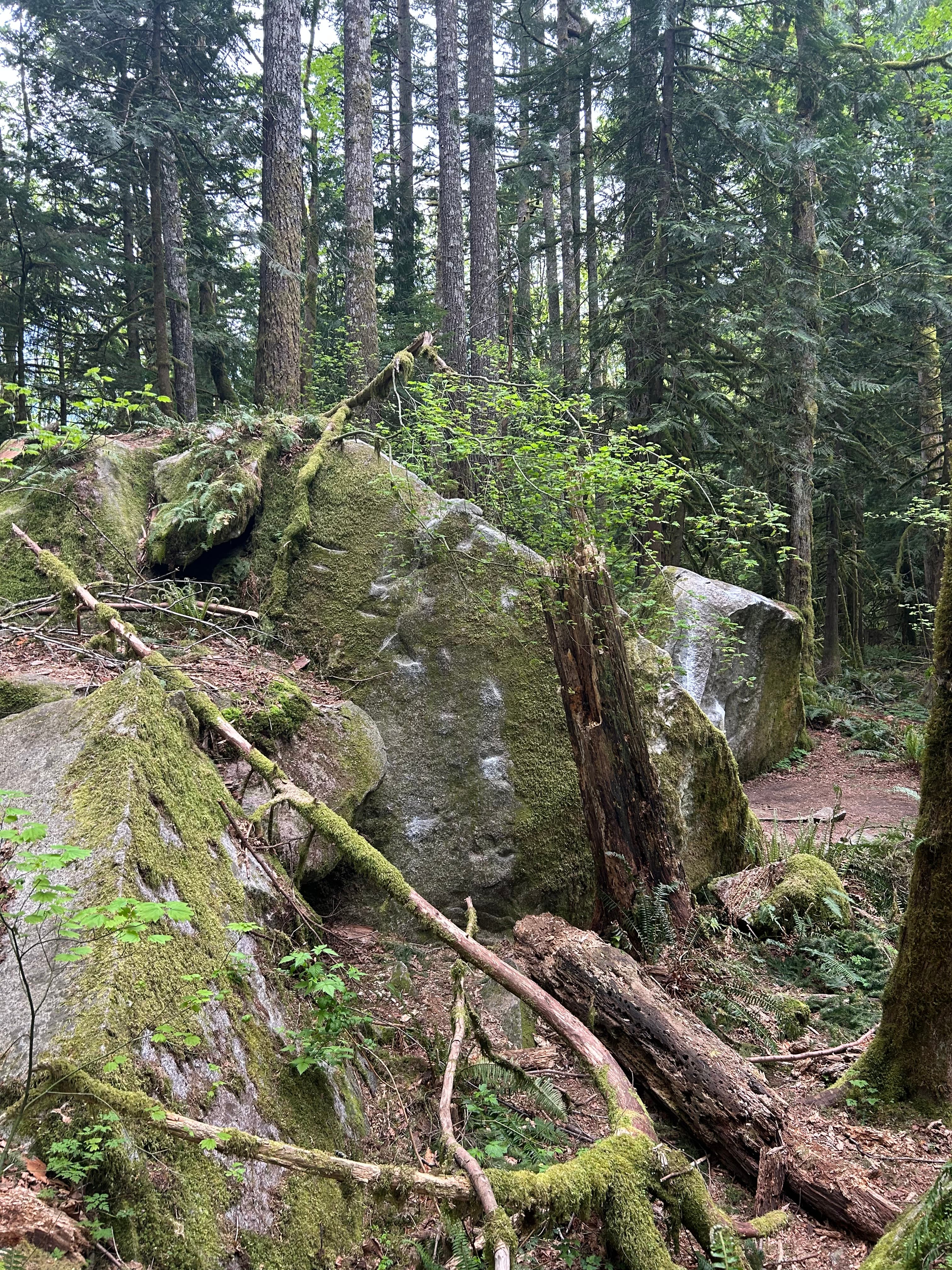 Photo of ** Bouldering at Index