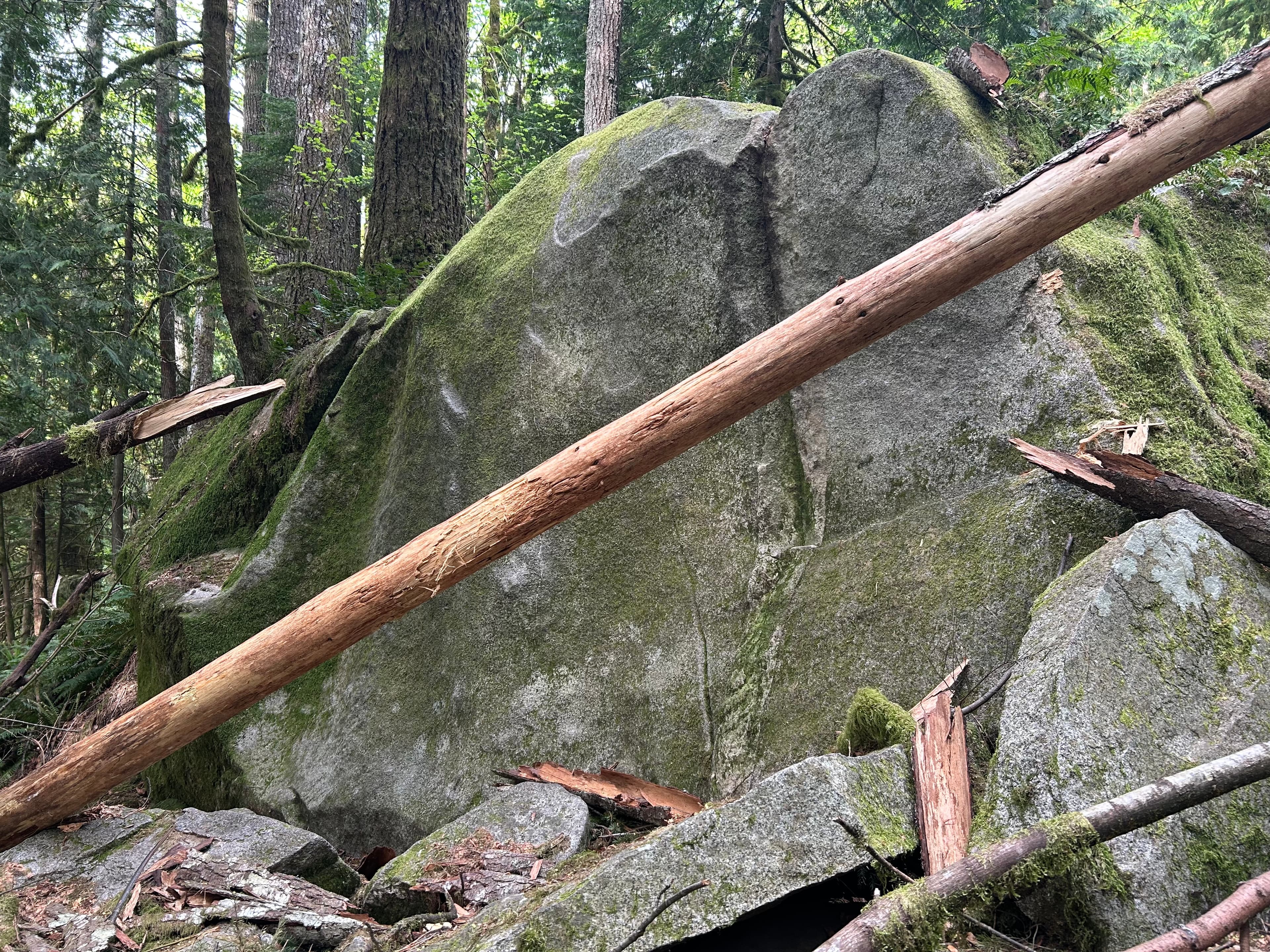 Photo of ** Bouldering at Index