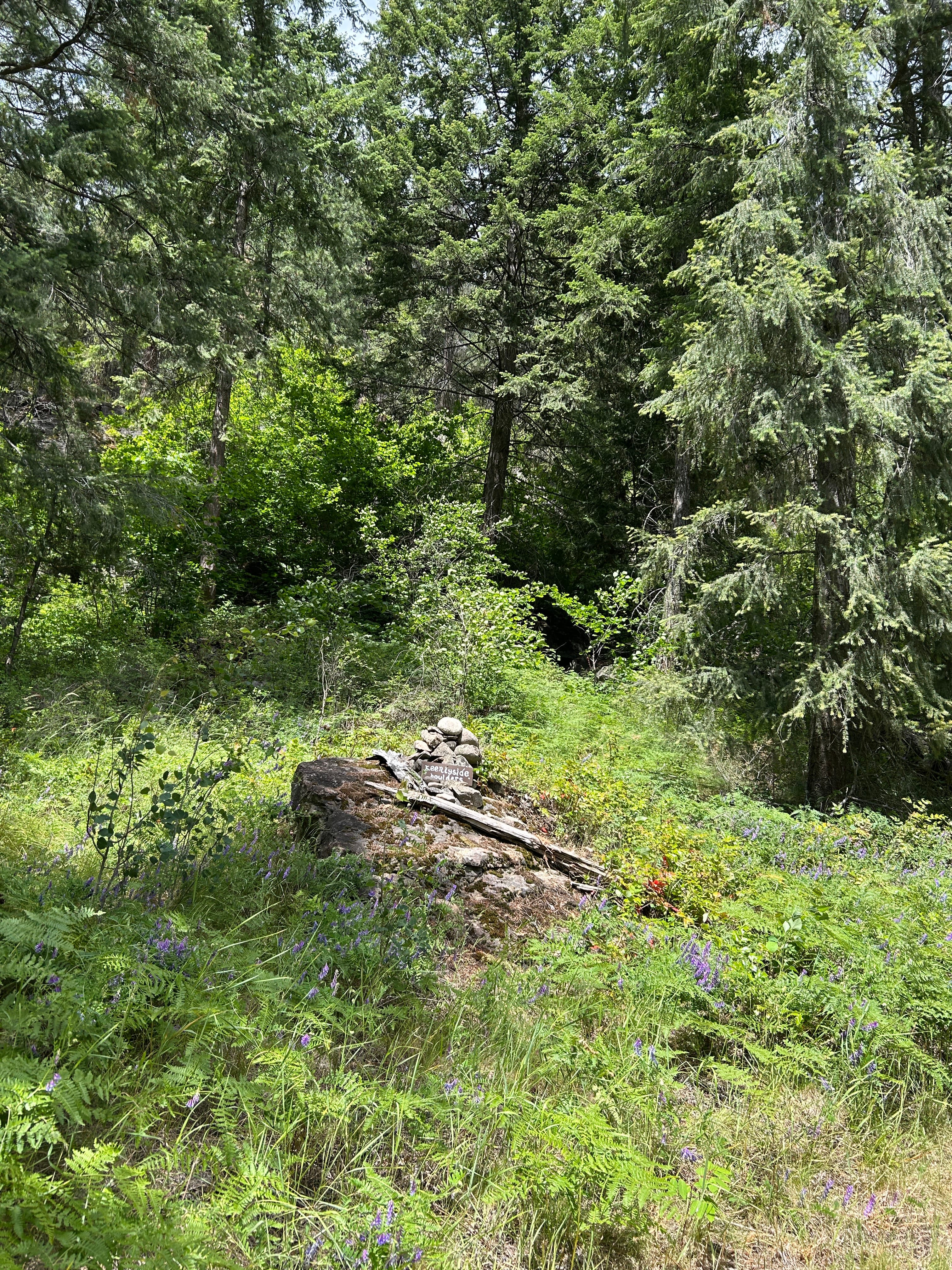 Photo of Kootenays West