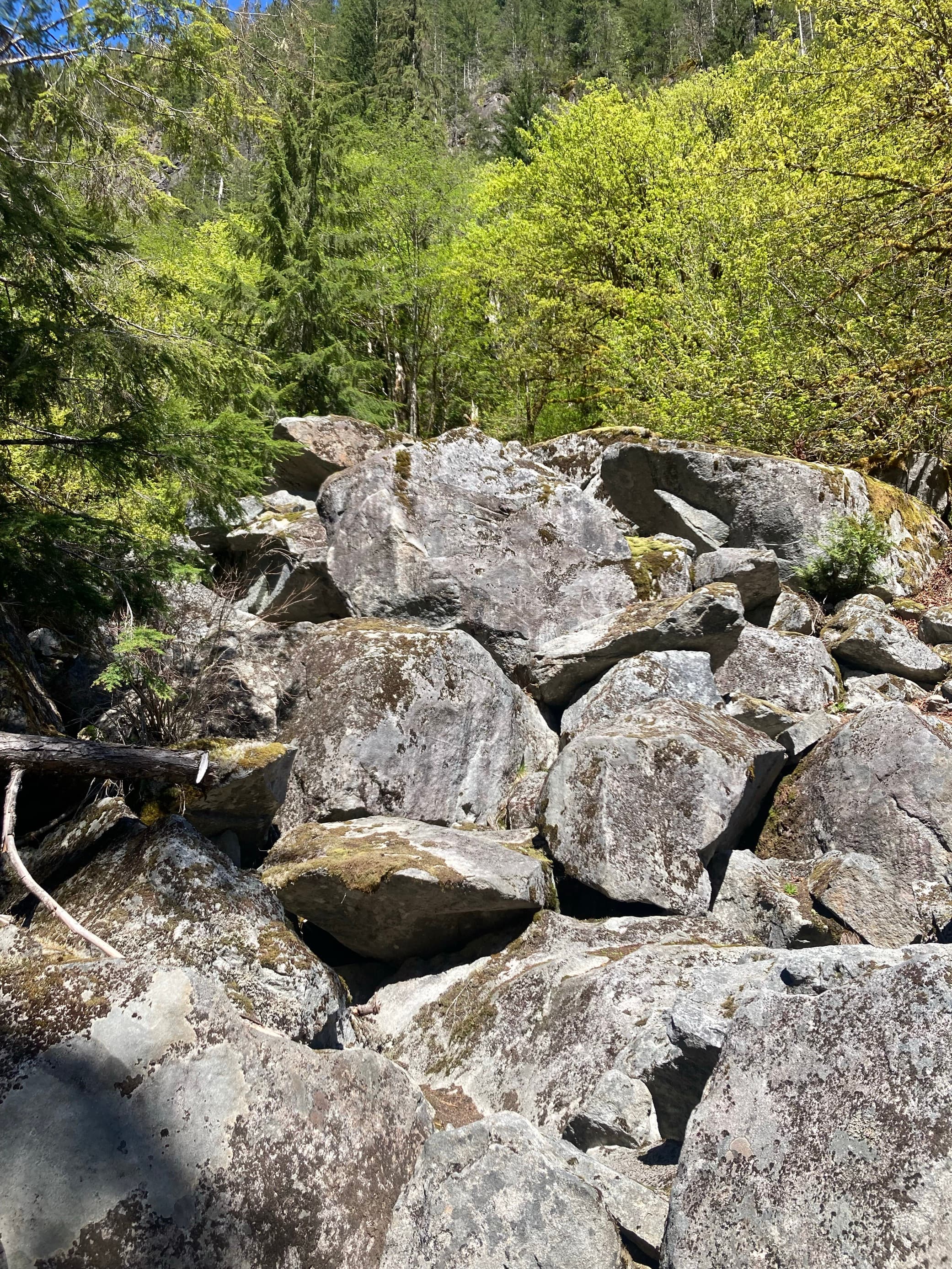 Photo of Miller River Boulders