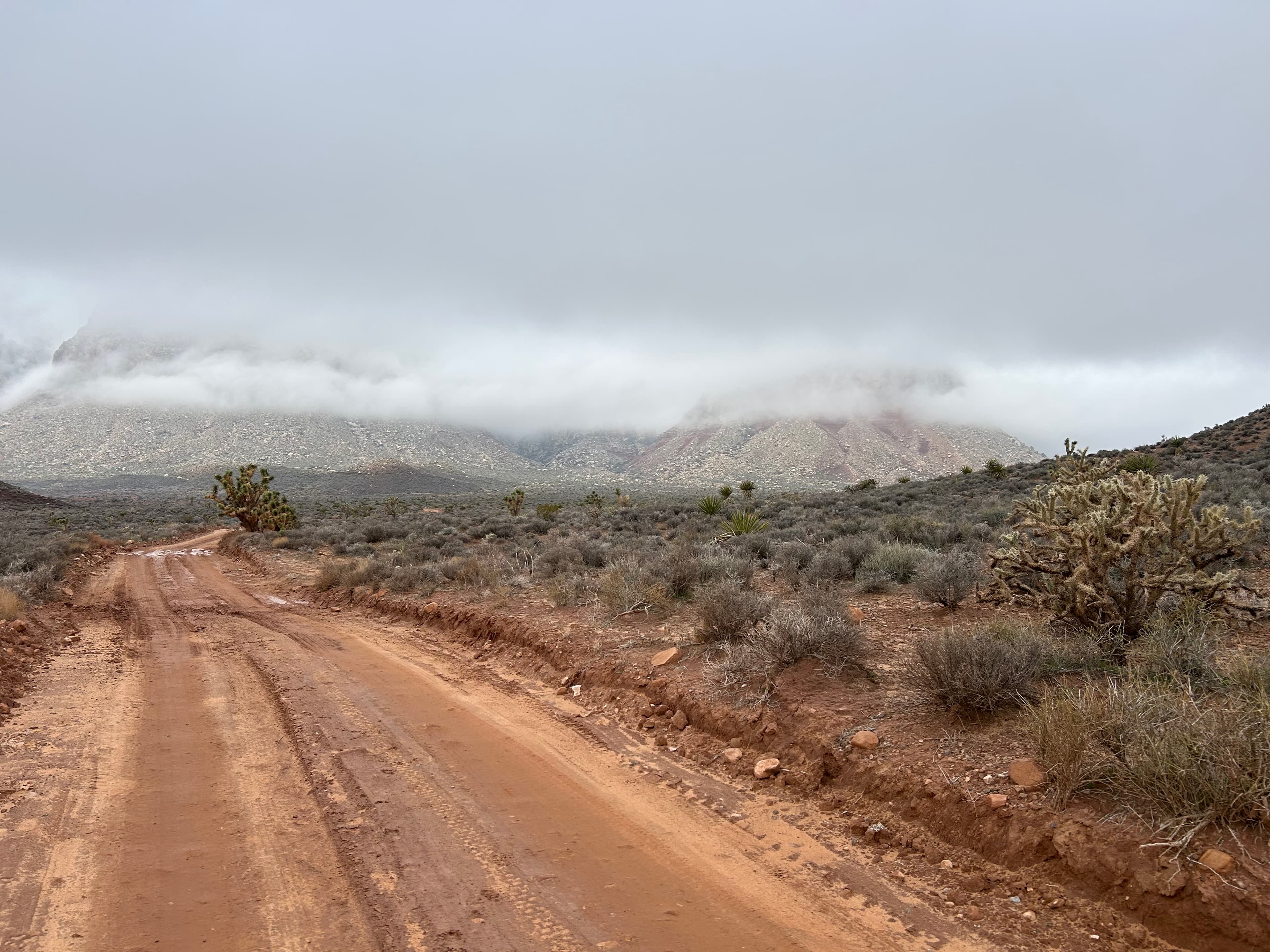 Photo of Black Velvet Canyon