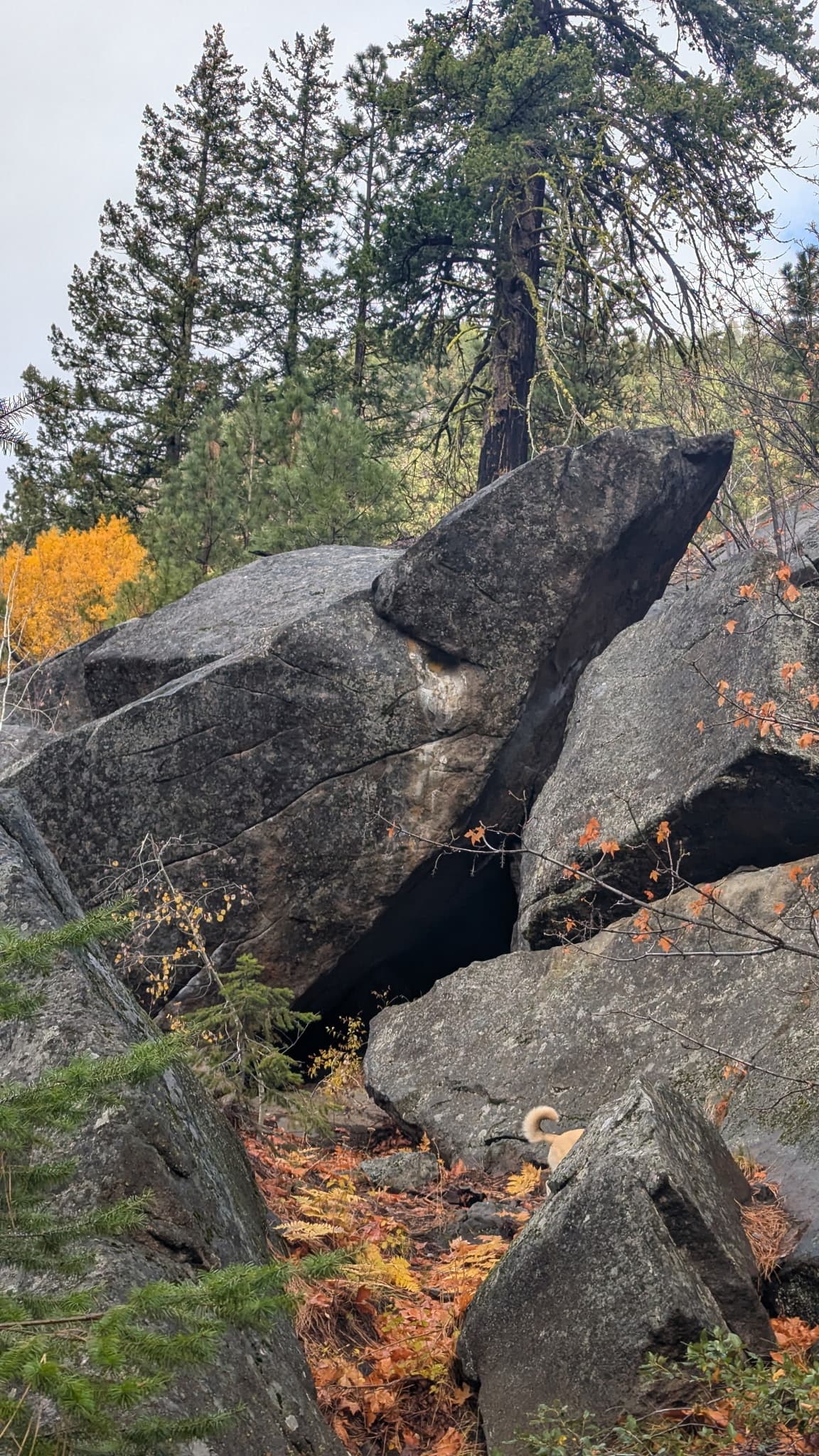 Photo of Mitchell Plateau