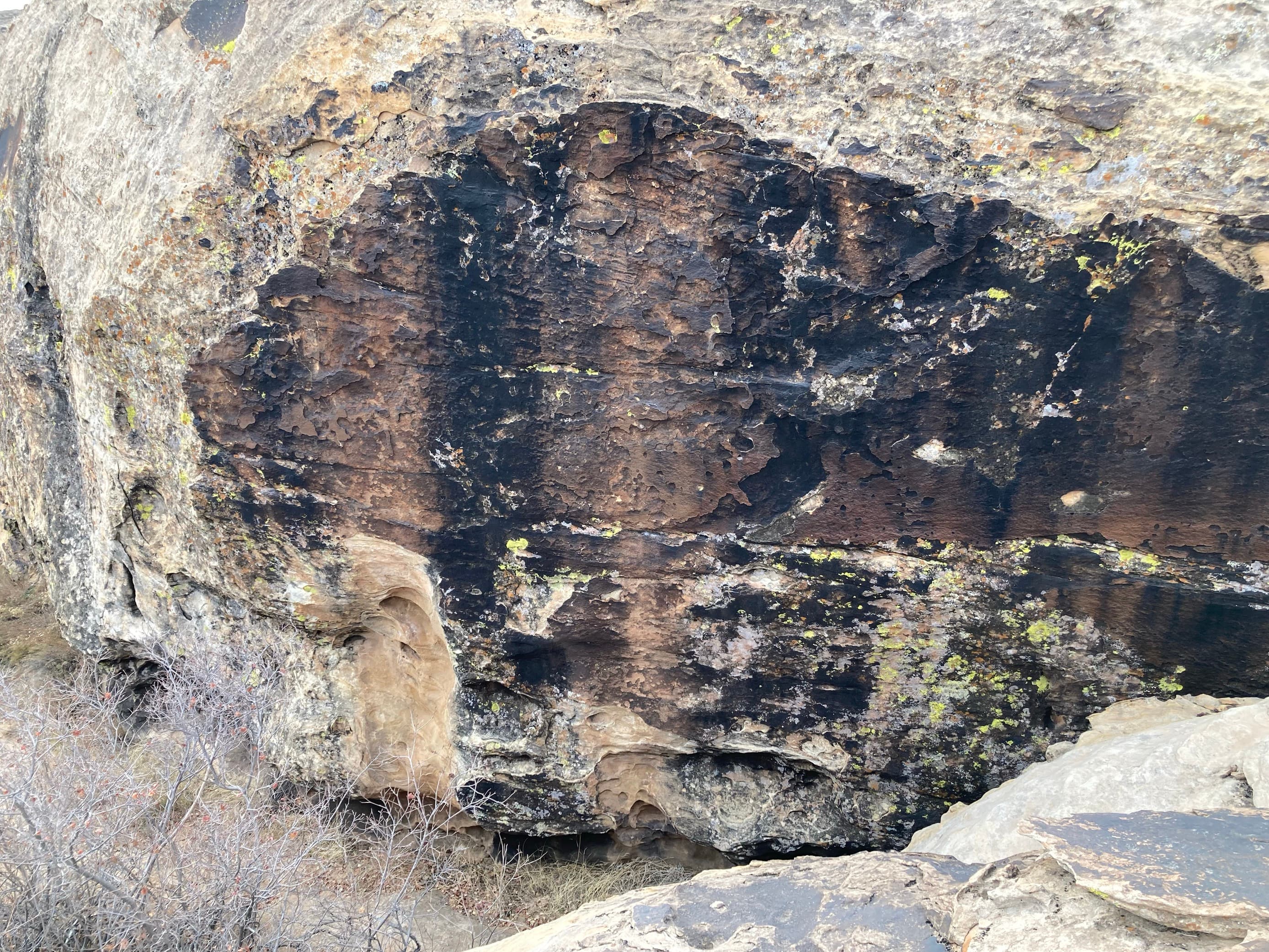 Photo of Moe's Valley