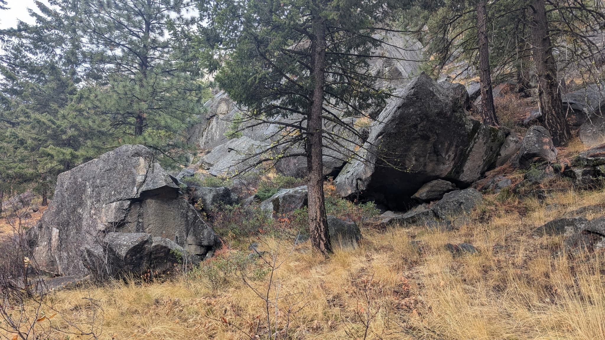 Photo of Mitchell Plateau