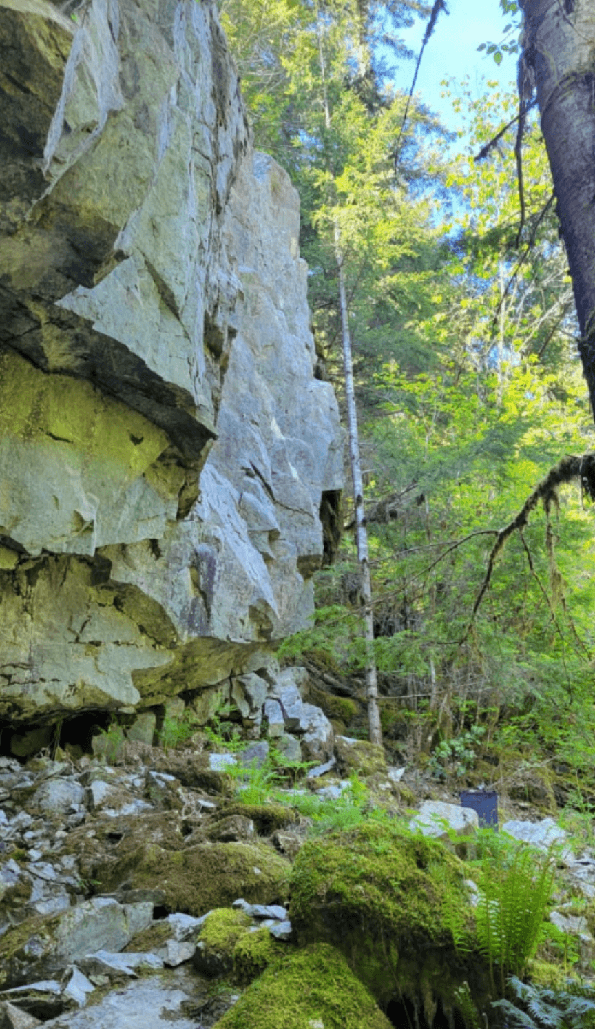Photo of Mamquam FSR