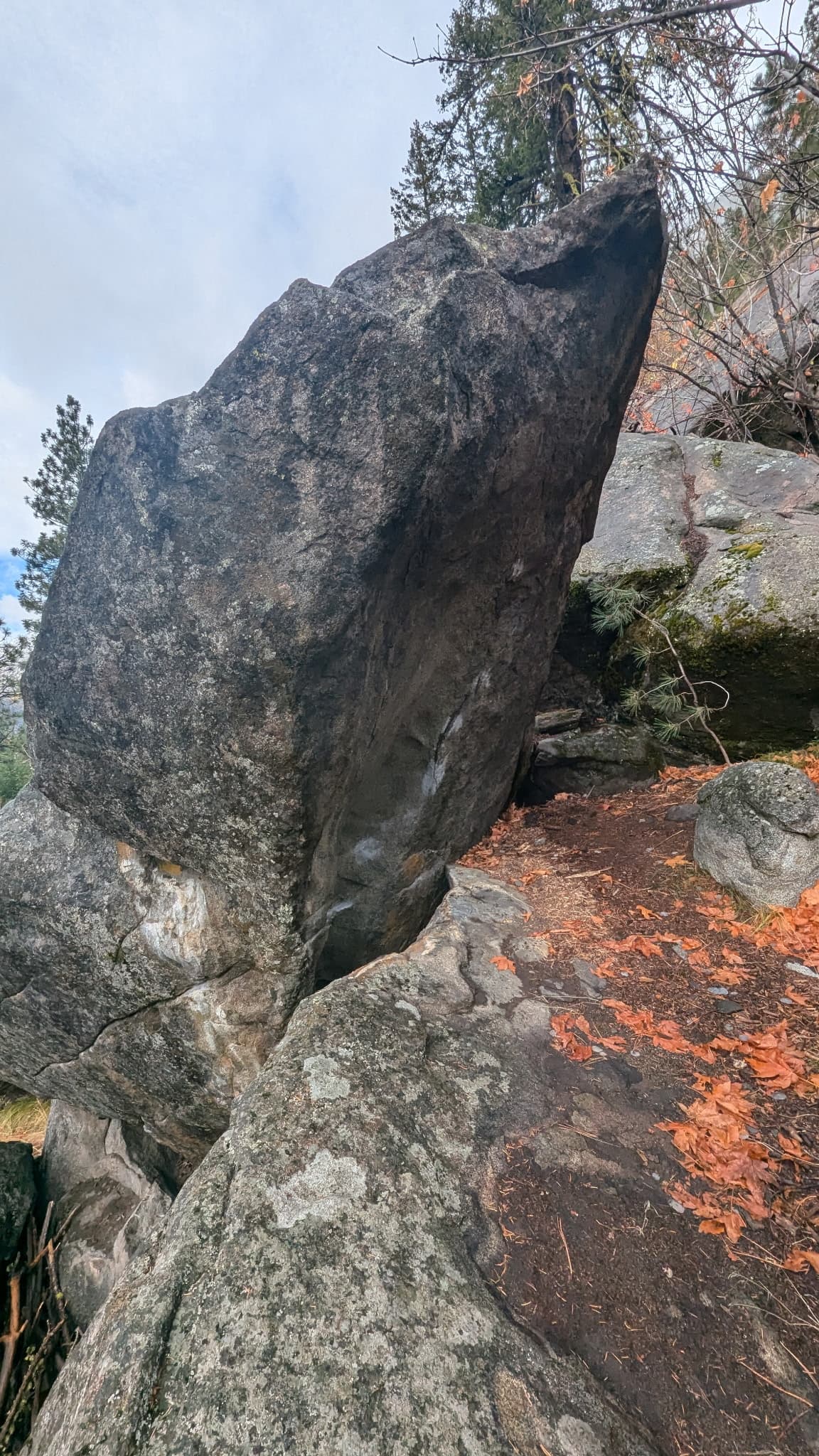 Photo of Mitchell Plateau