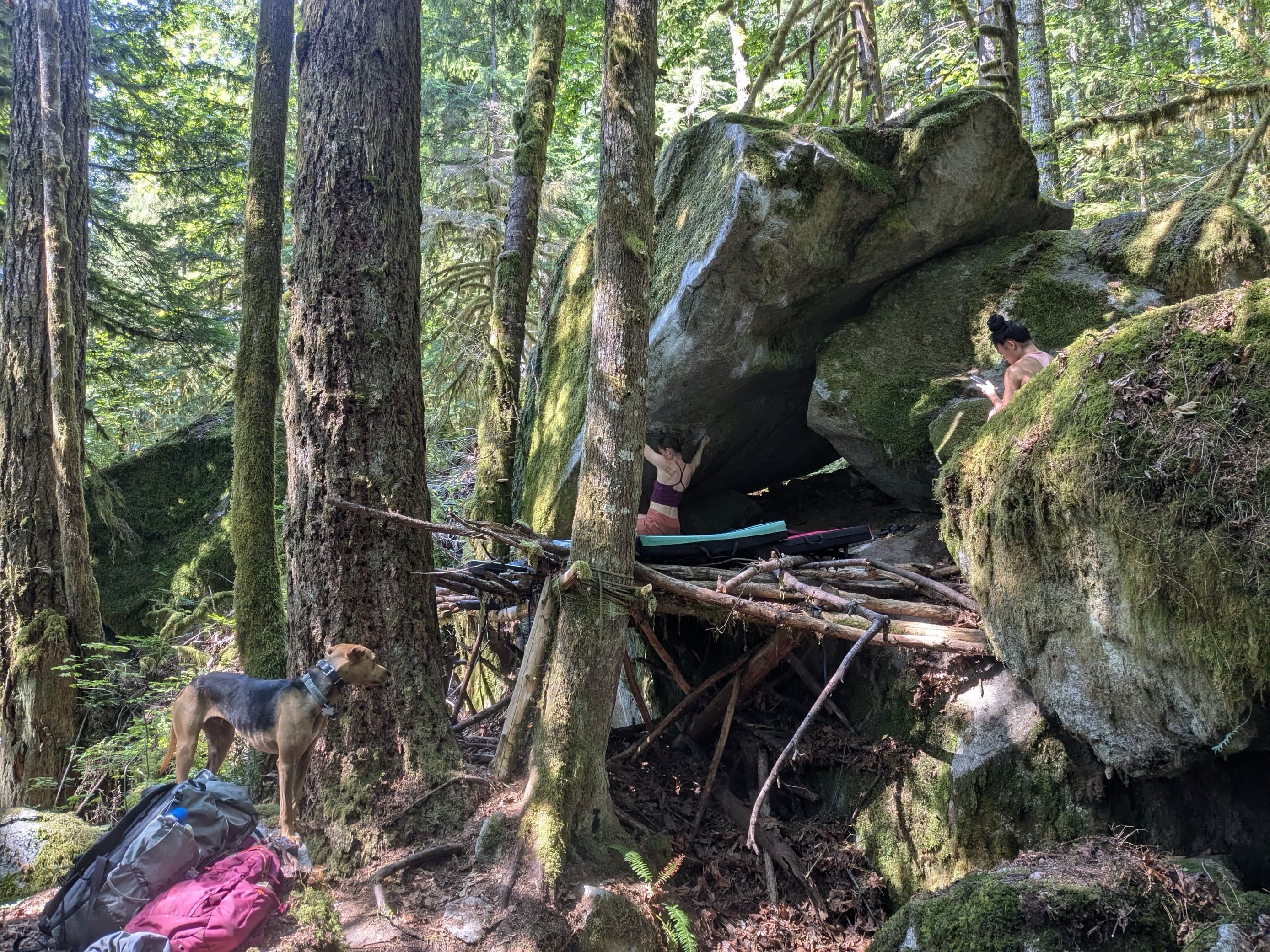 Photo of Sasquatch Boulders