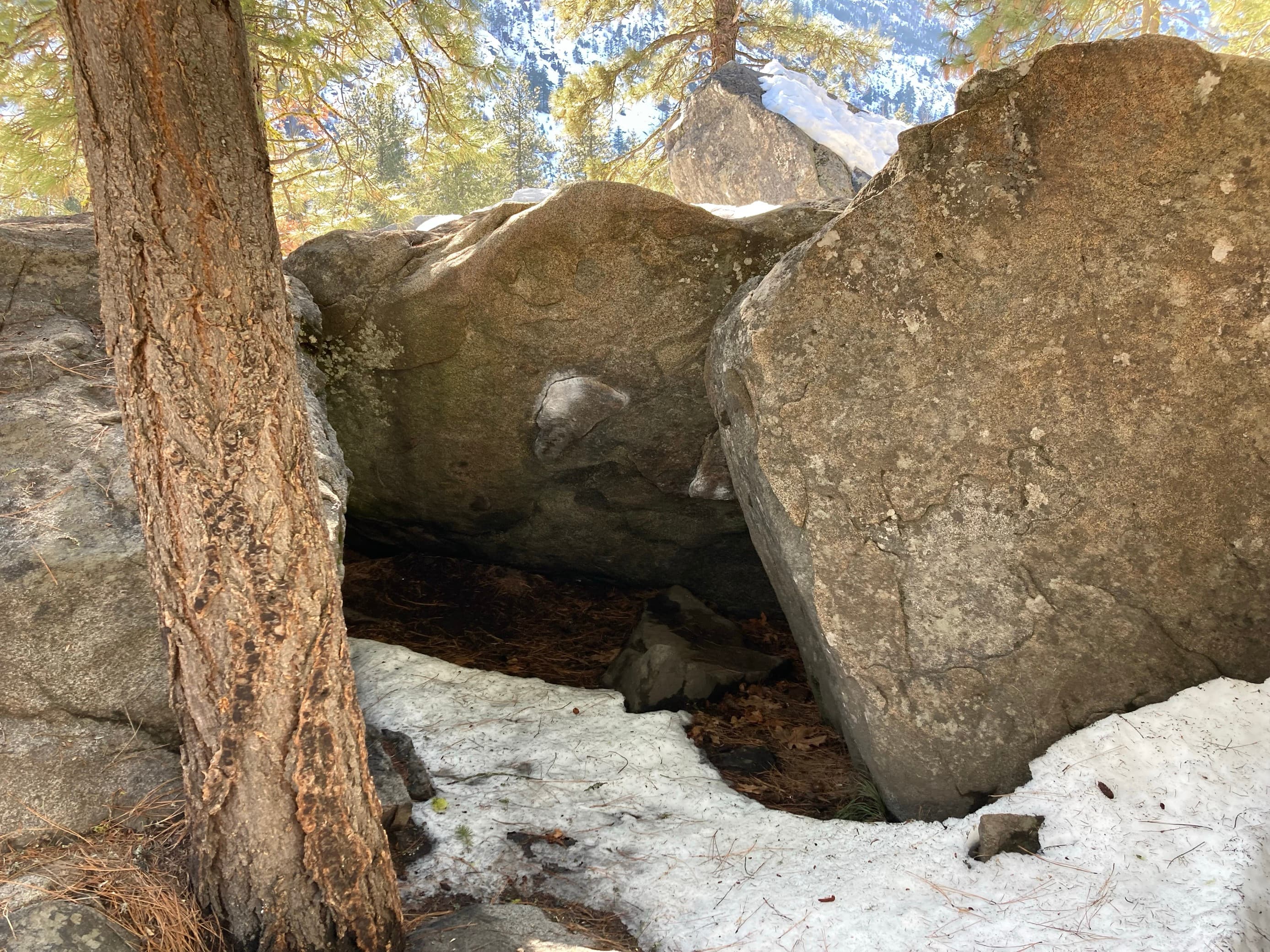 Photo of Forestland Boulders