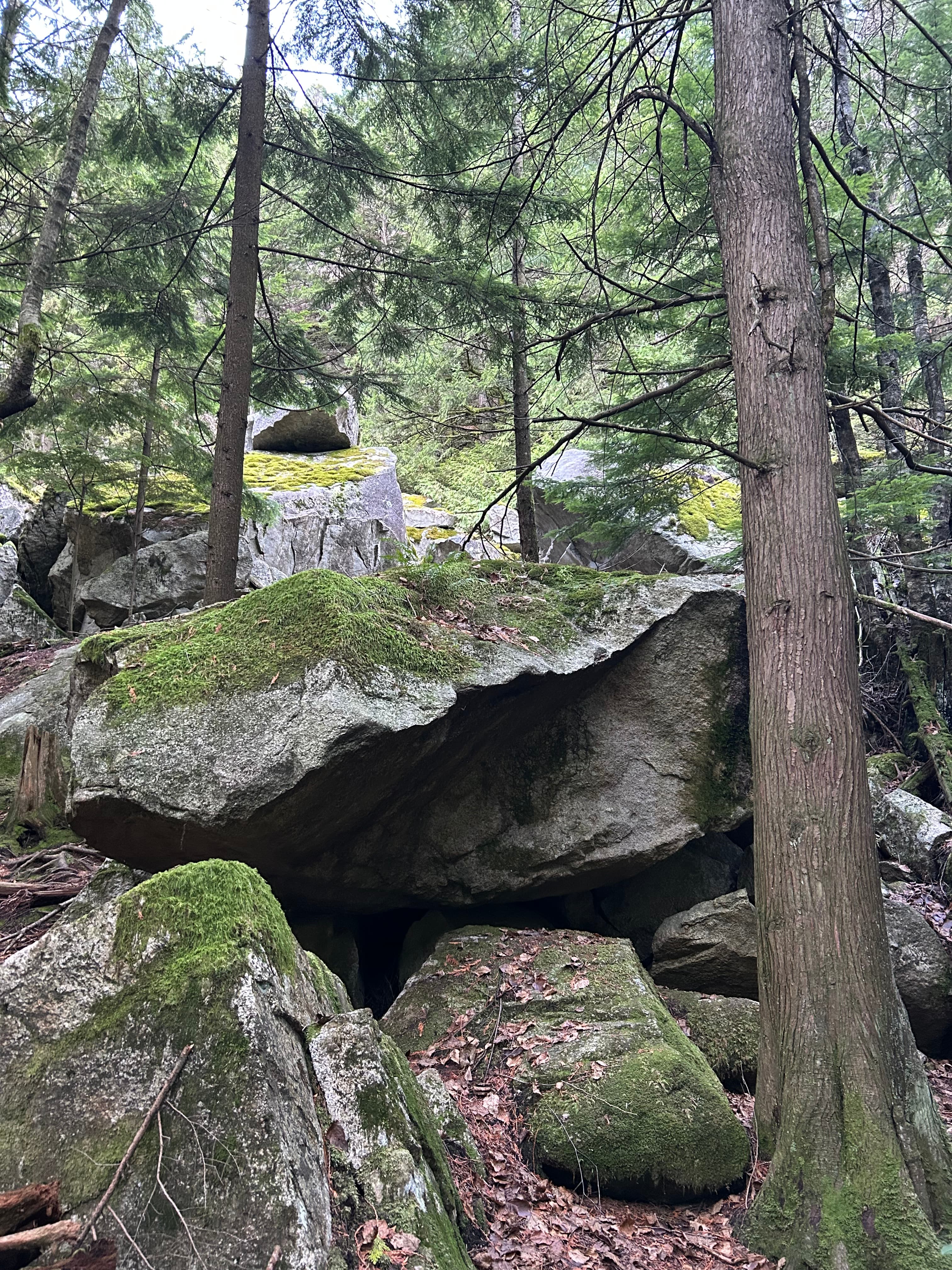 Photo of Murrin Park