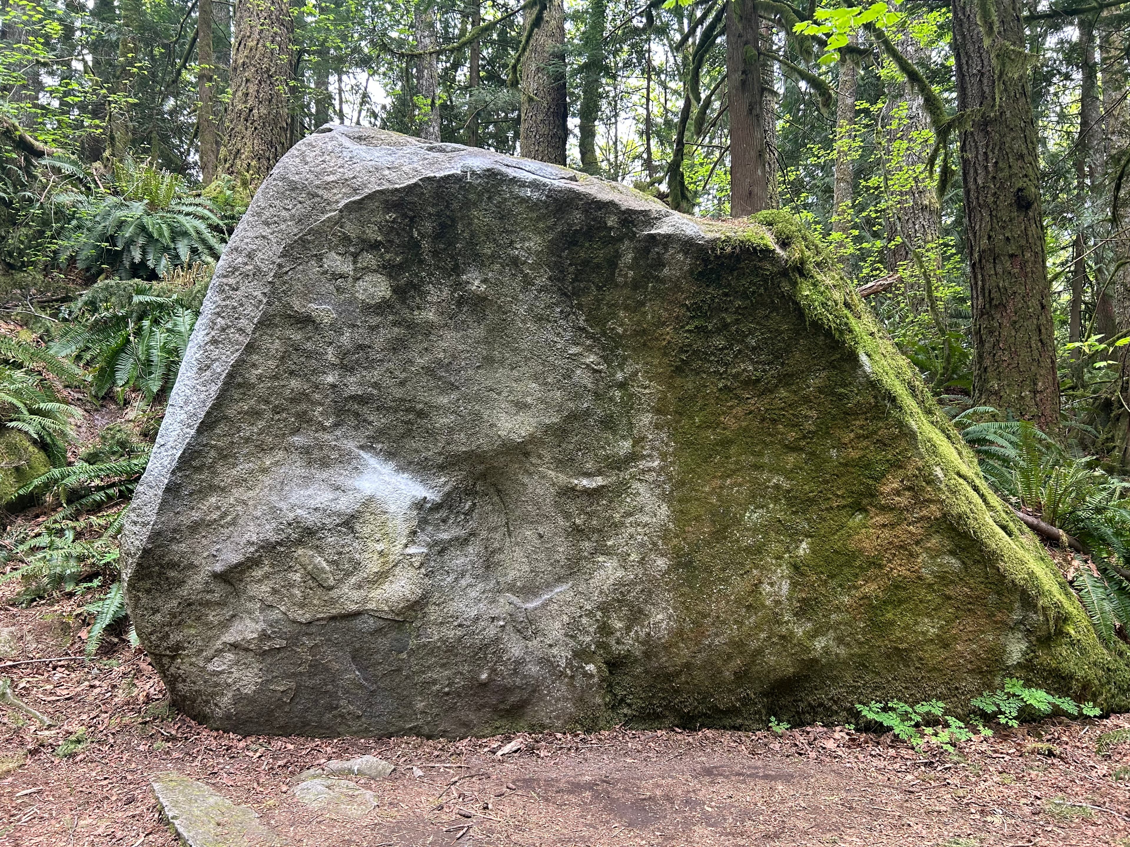 Photo of Z Dyno