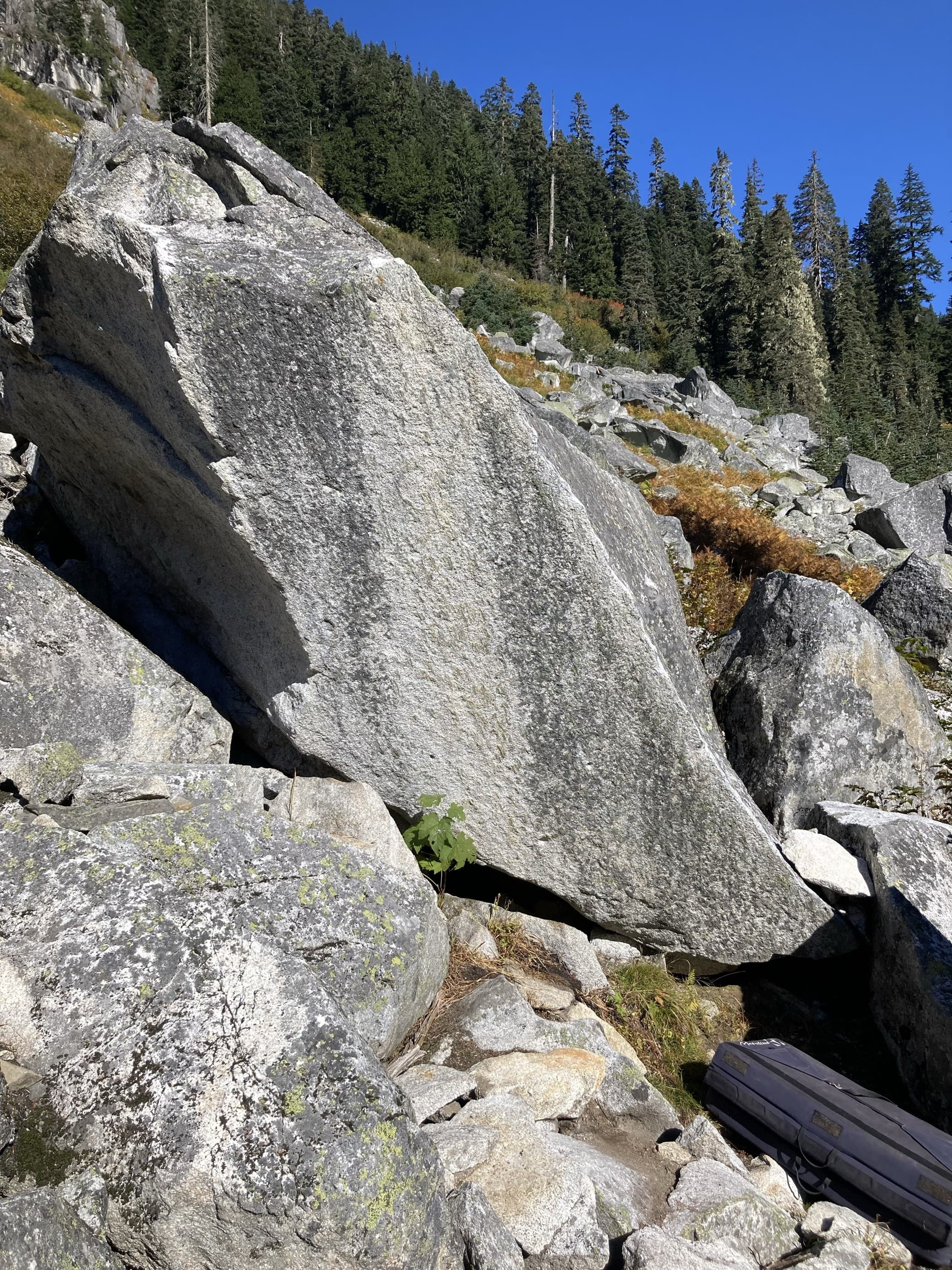 Photo of Skykomish Valley