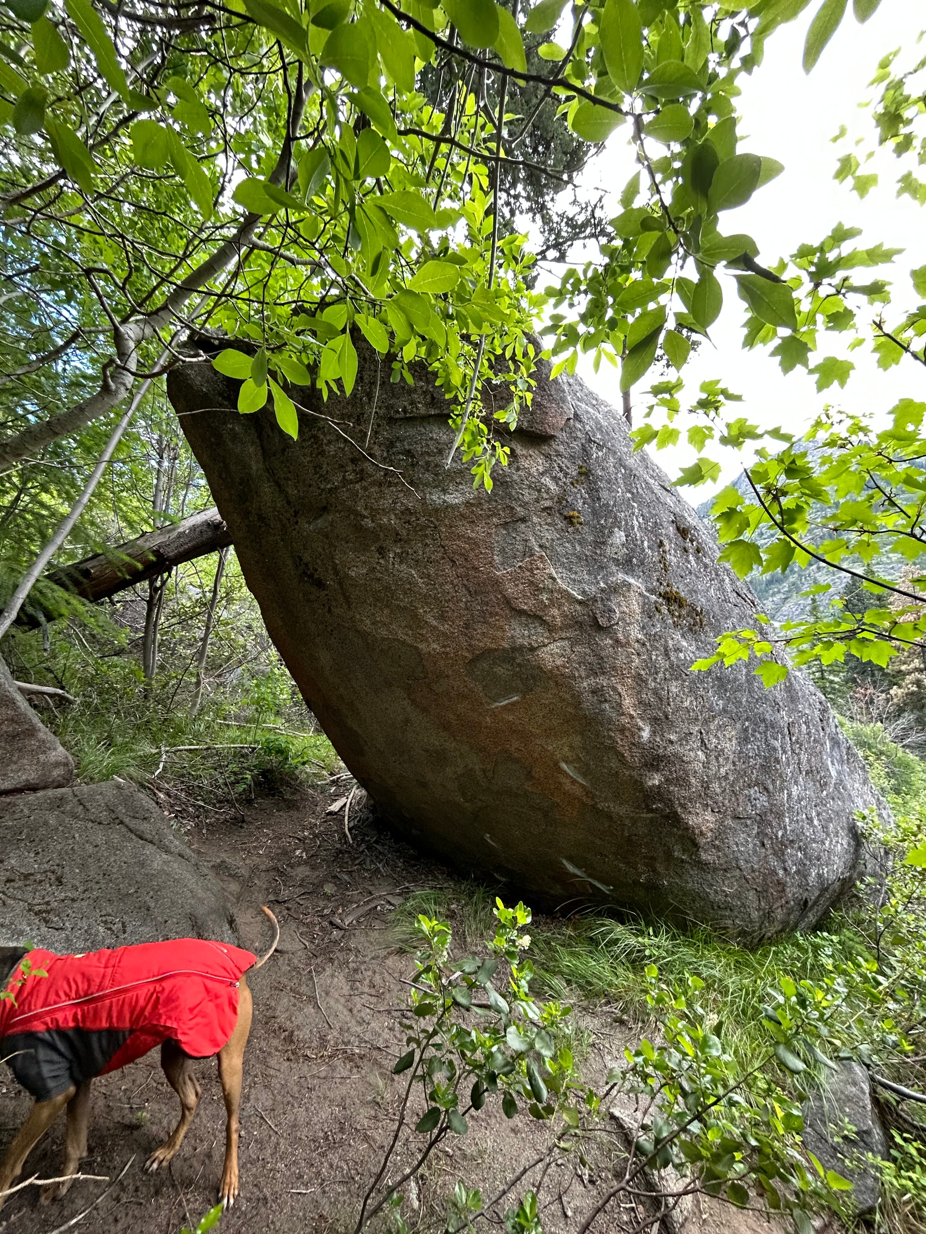 Photo of Pretty Boulders
