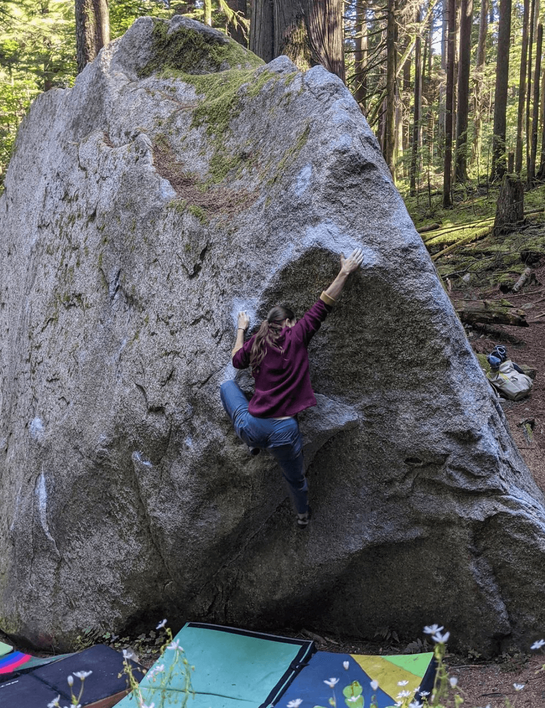 Photo of North Wall Boulders