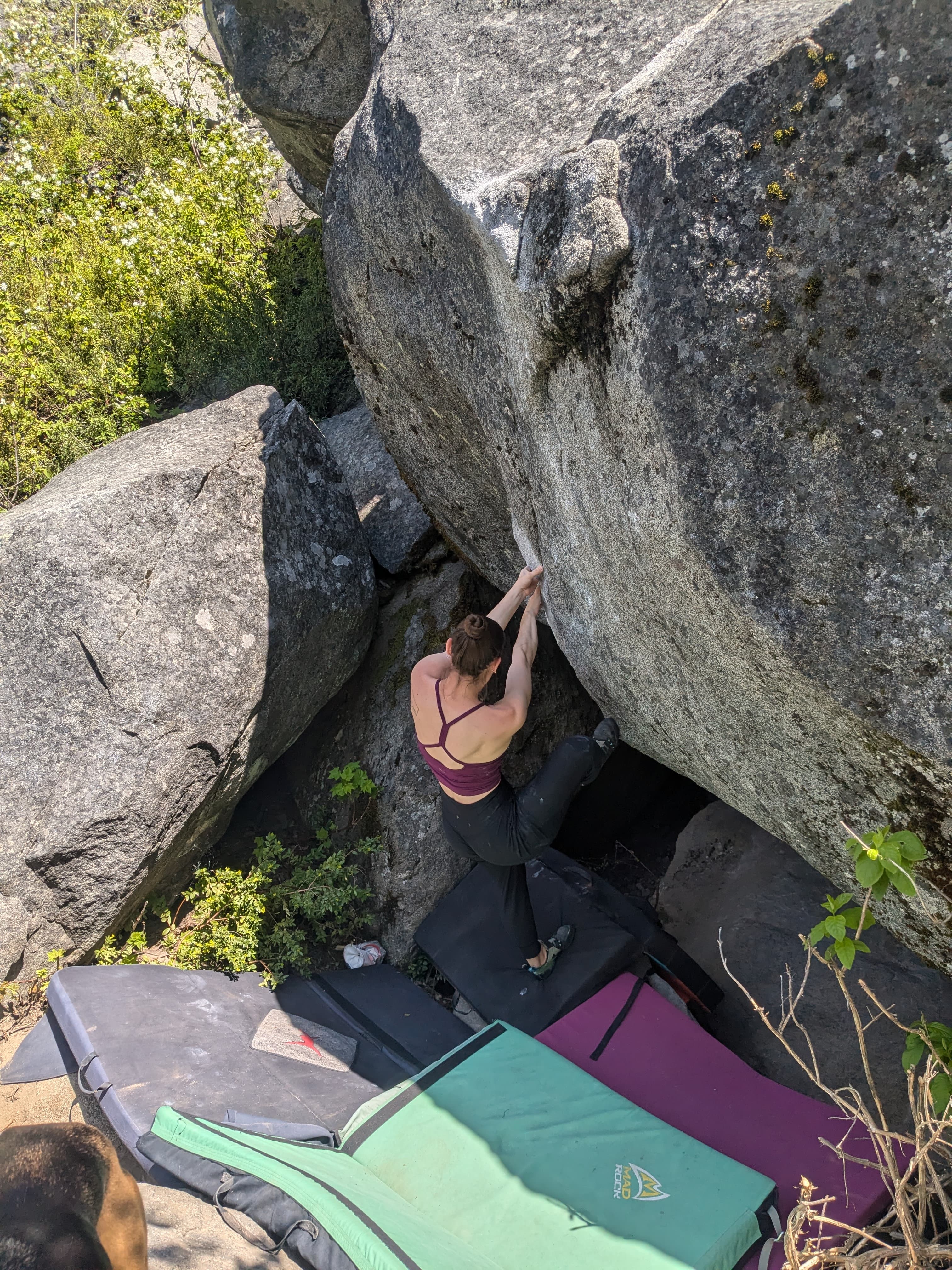 Photo of Icicle Buttress Boulders