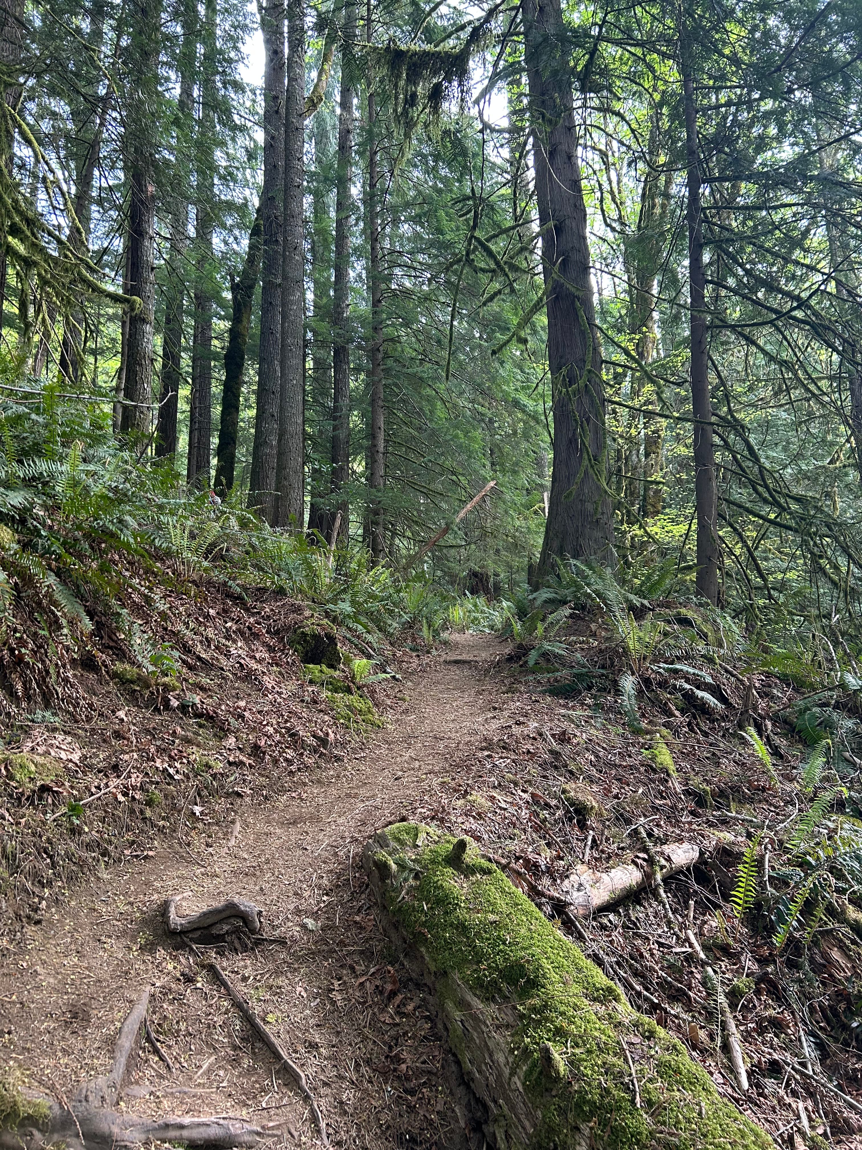 Photo of ** Bouldering at Index