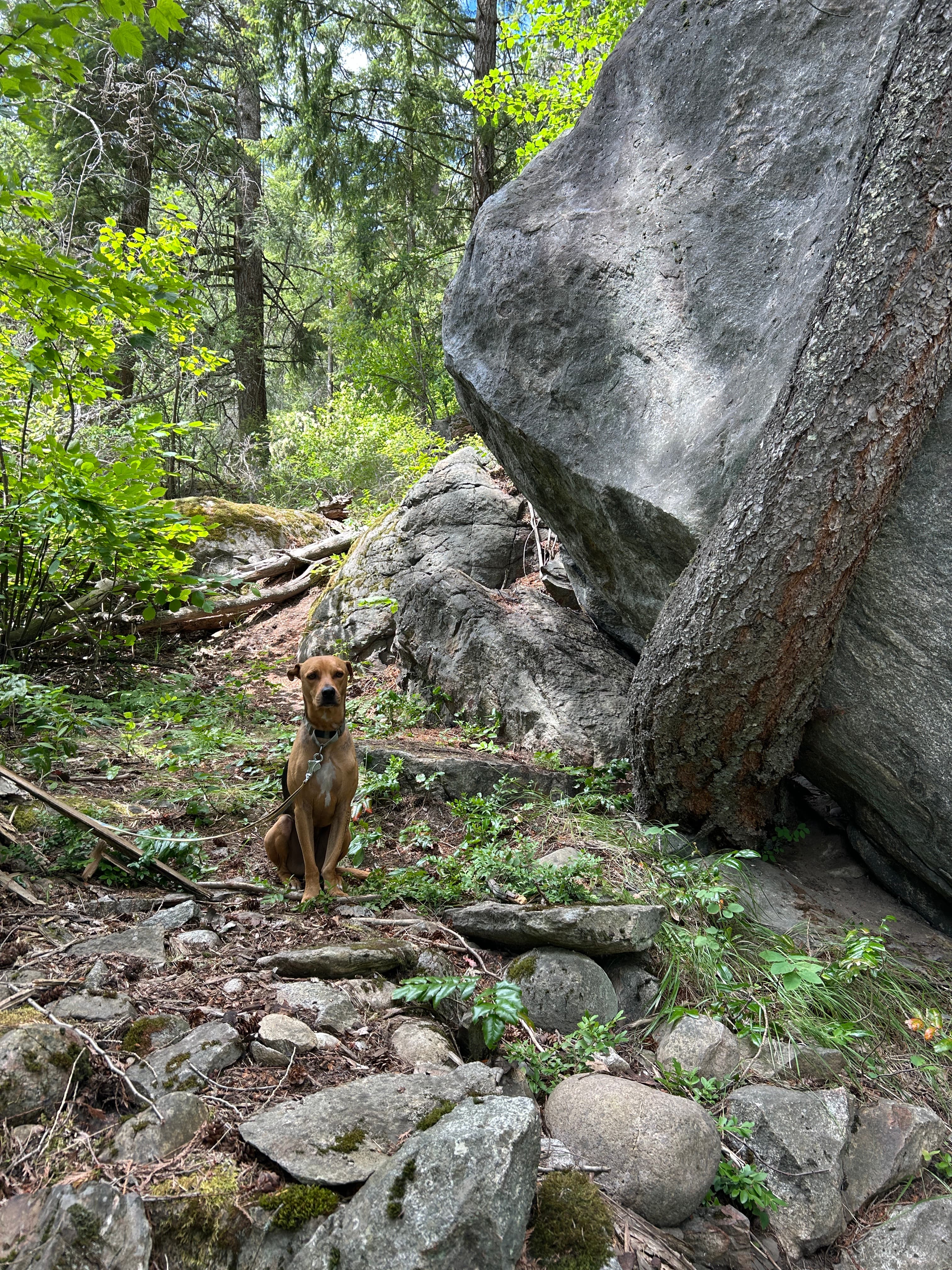 Photo of Kootenays West