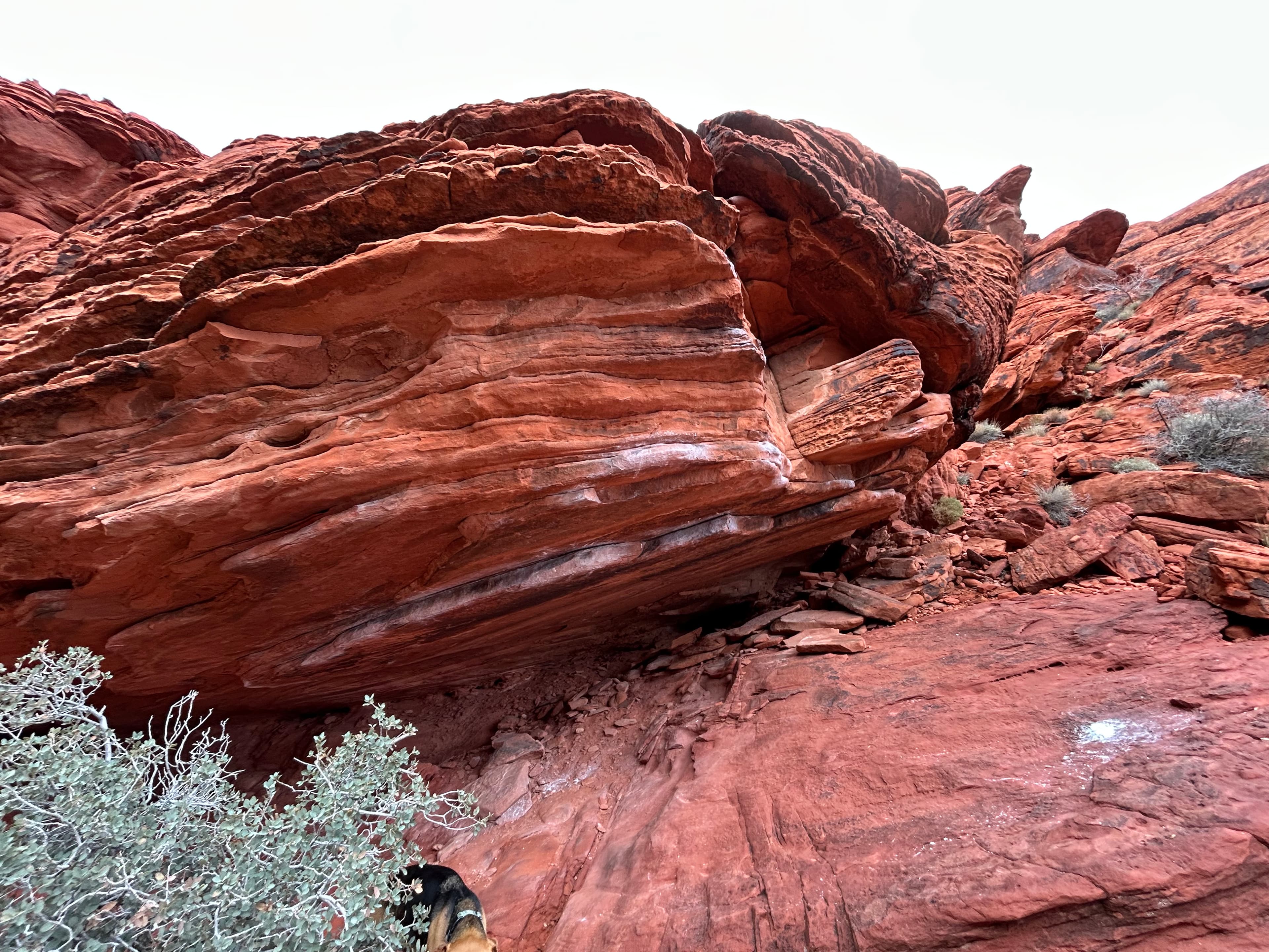 Photo of Calico Basin Boulders