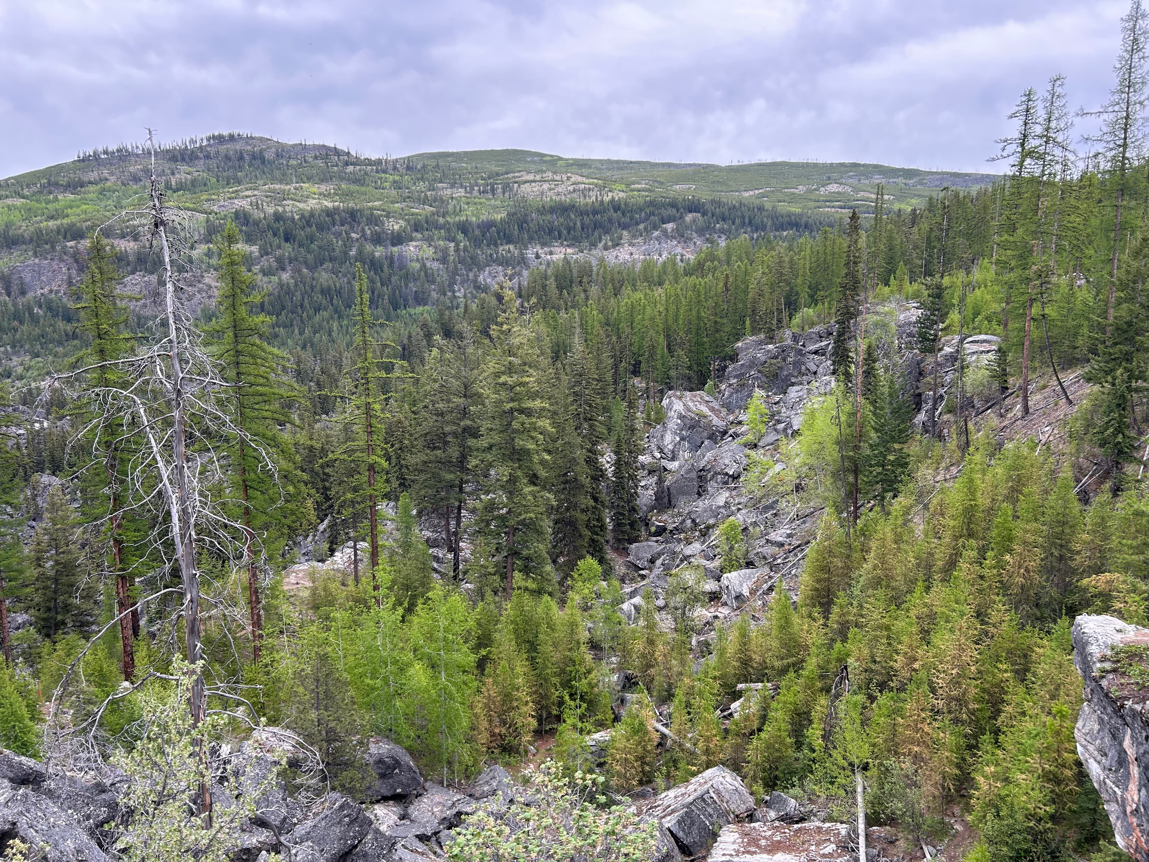 Photo of Okanagan
