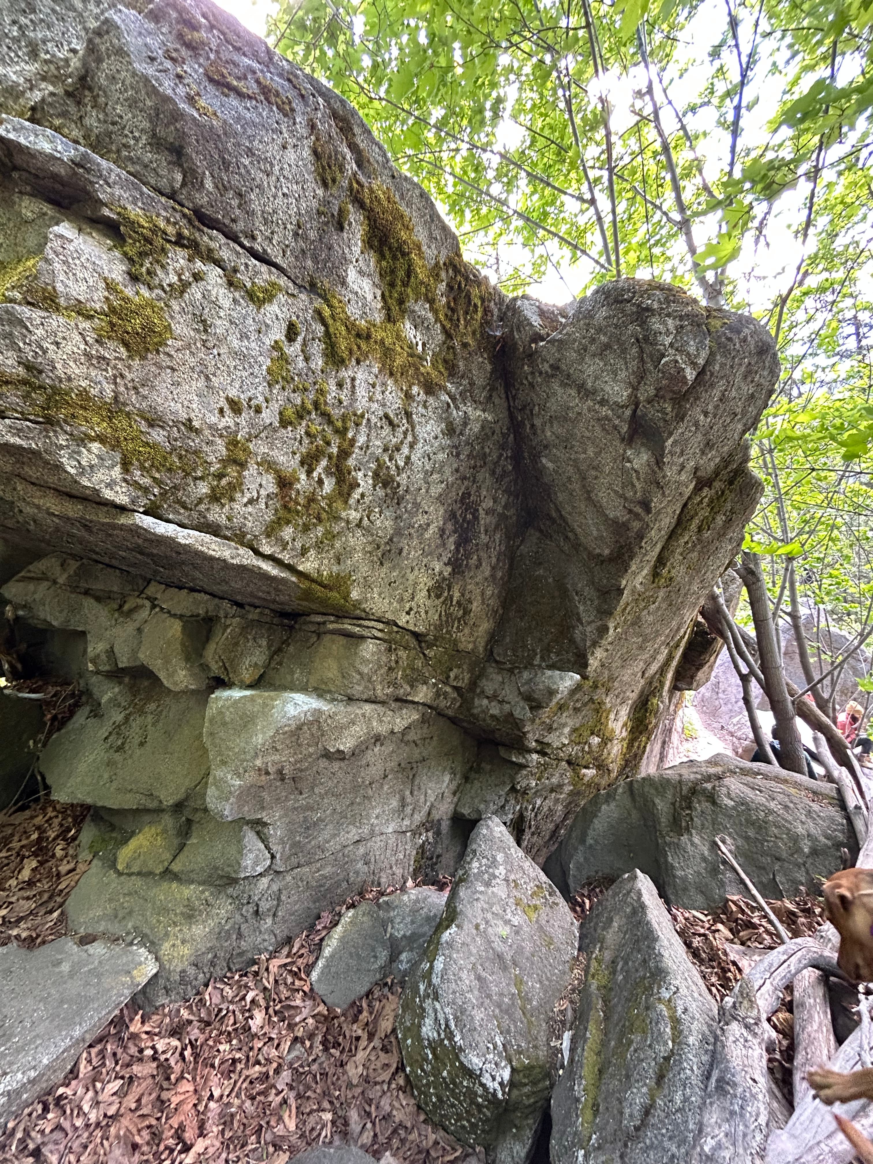 Photo of Pretty Boulders