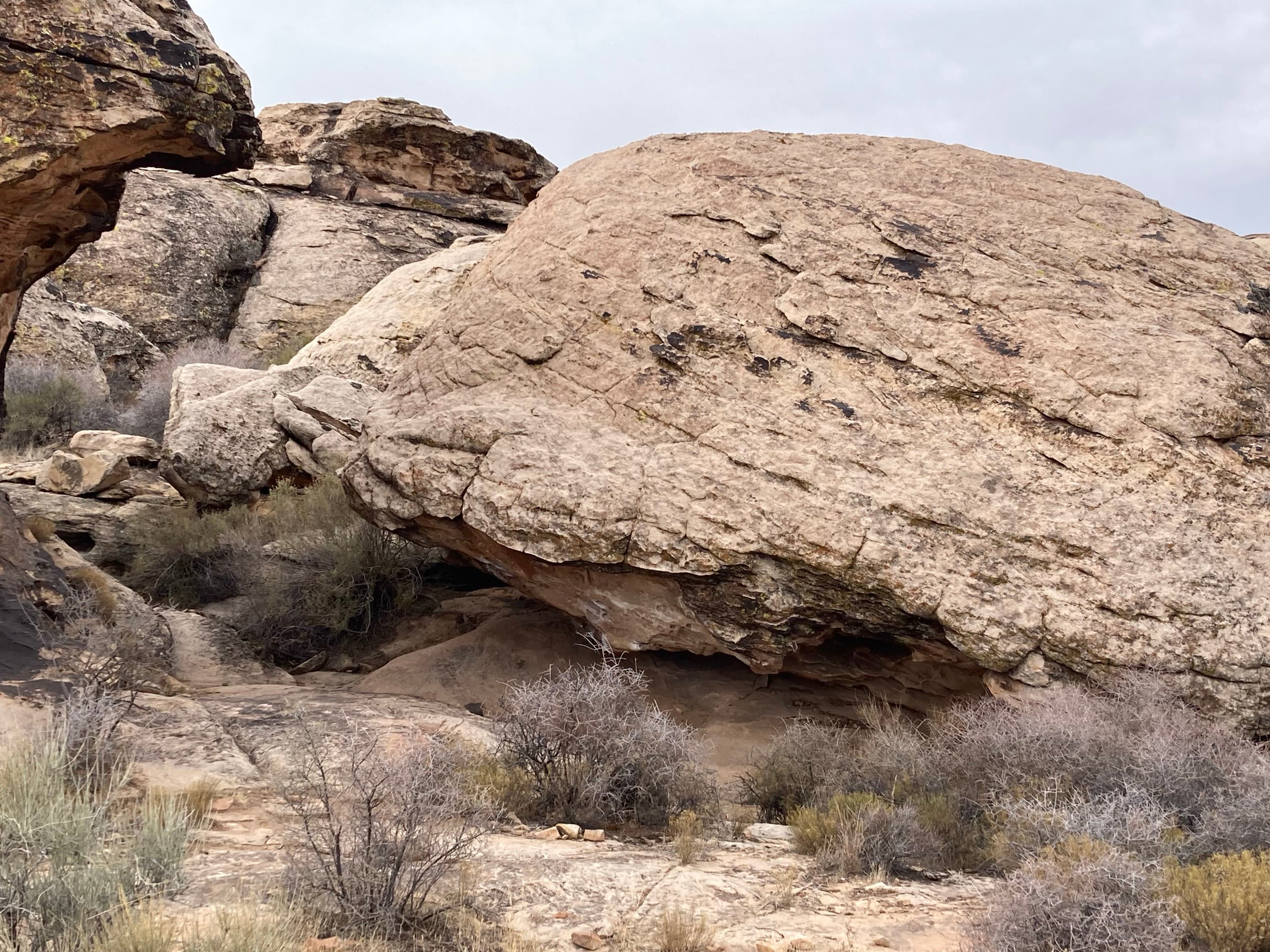Photo of Moe's Valley