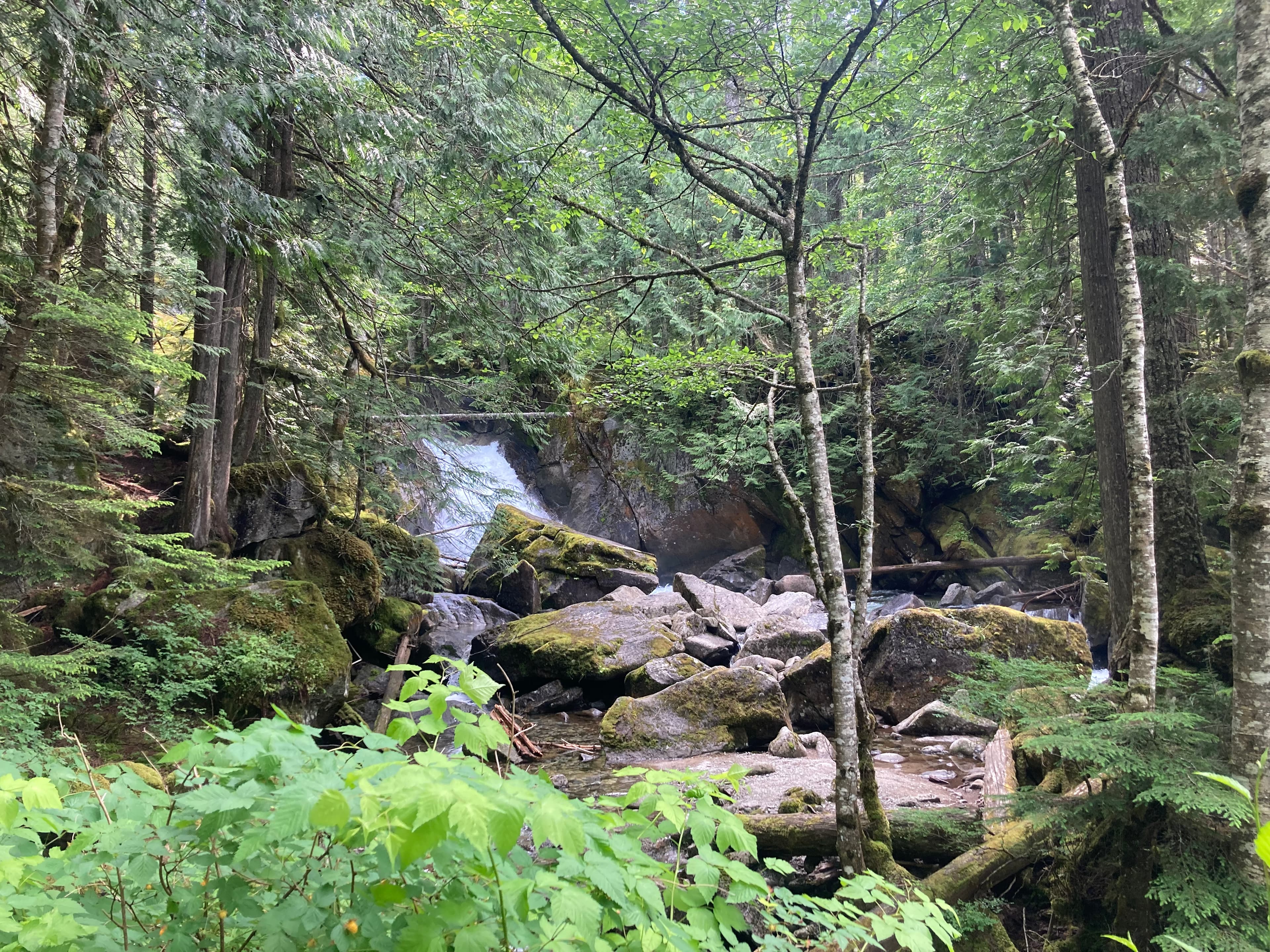 Photo of Skykomish Valley